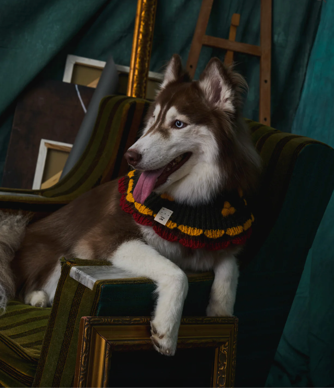 《スタイ》multi knit / No.415