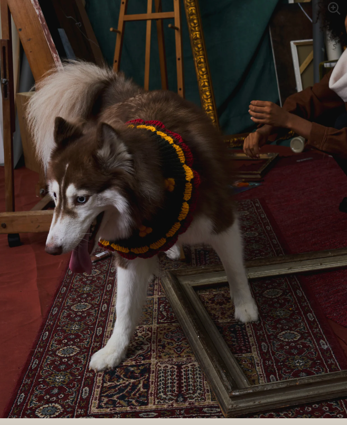 《スタイ》multi knit / No.415