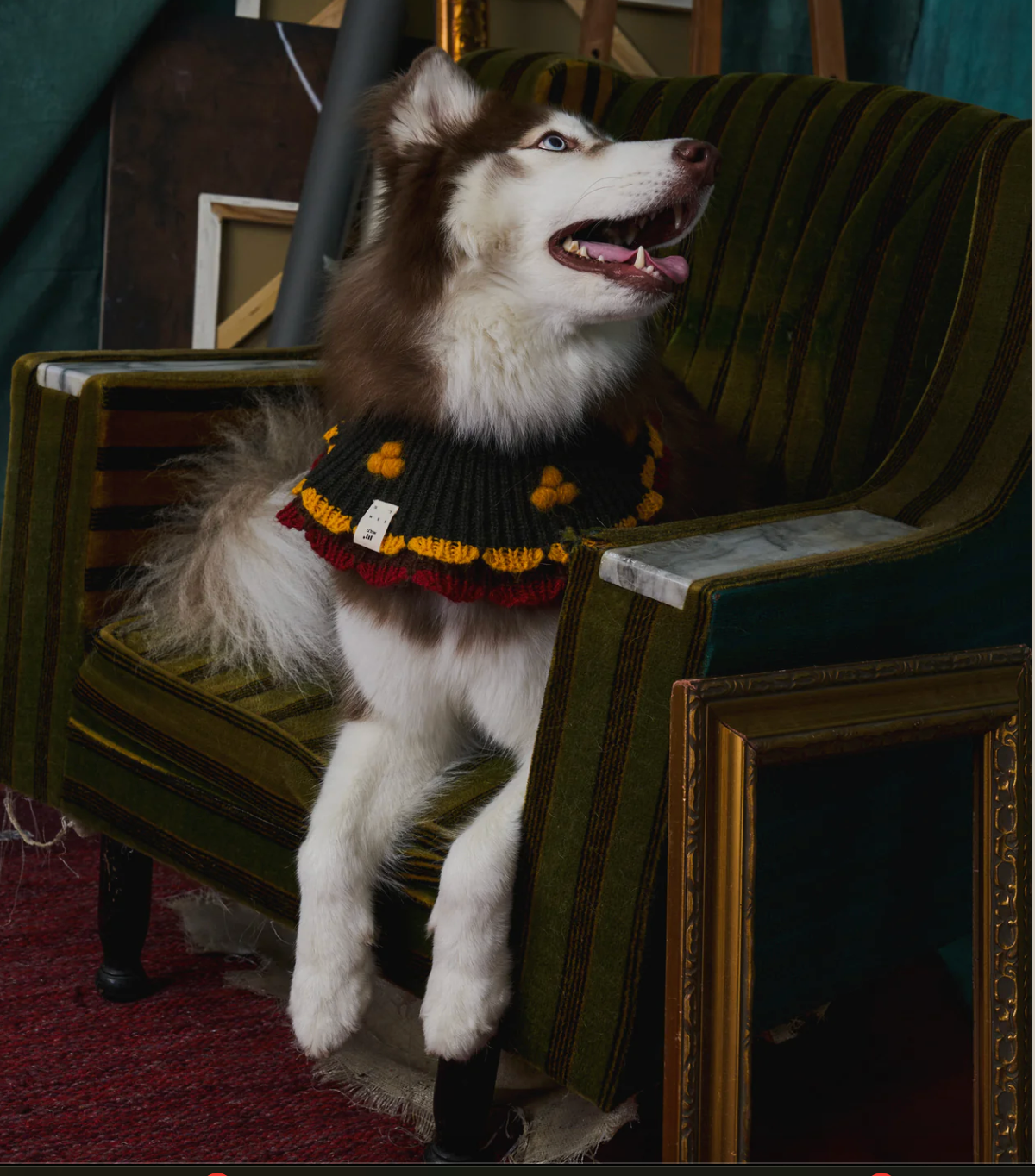 《スタイ》multi knit / No.415