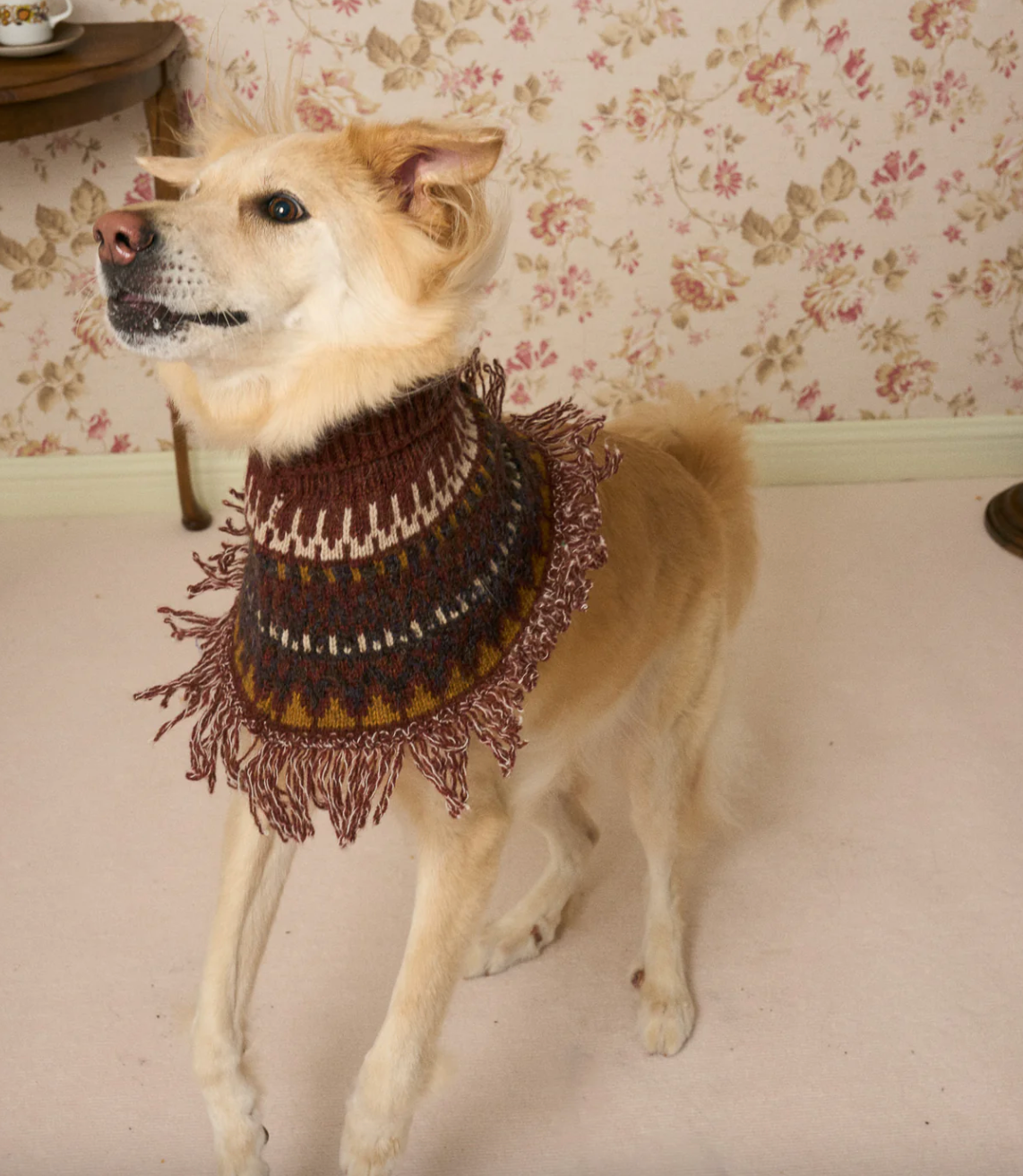 《スタイ》multi knit / No. 514