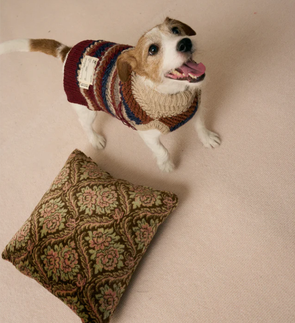 《犬服》multi knit / No. 502