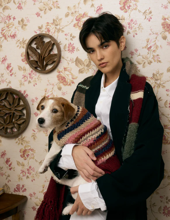 《犬服》multi knit / No. 502