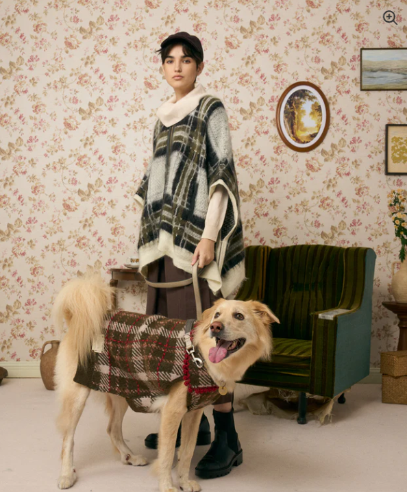 《犬服》multi knit / No. 506　