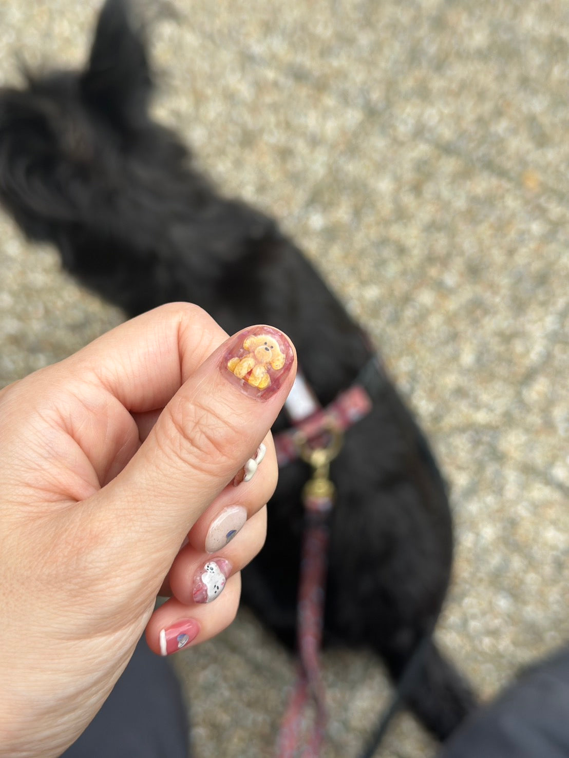 nail seal with dogs