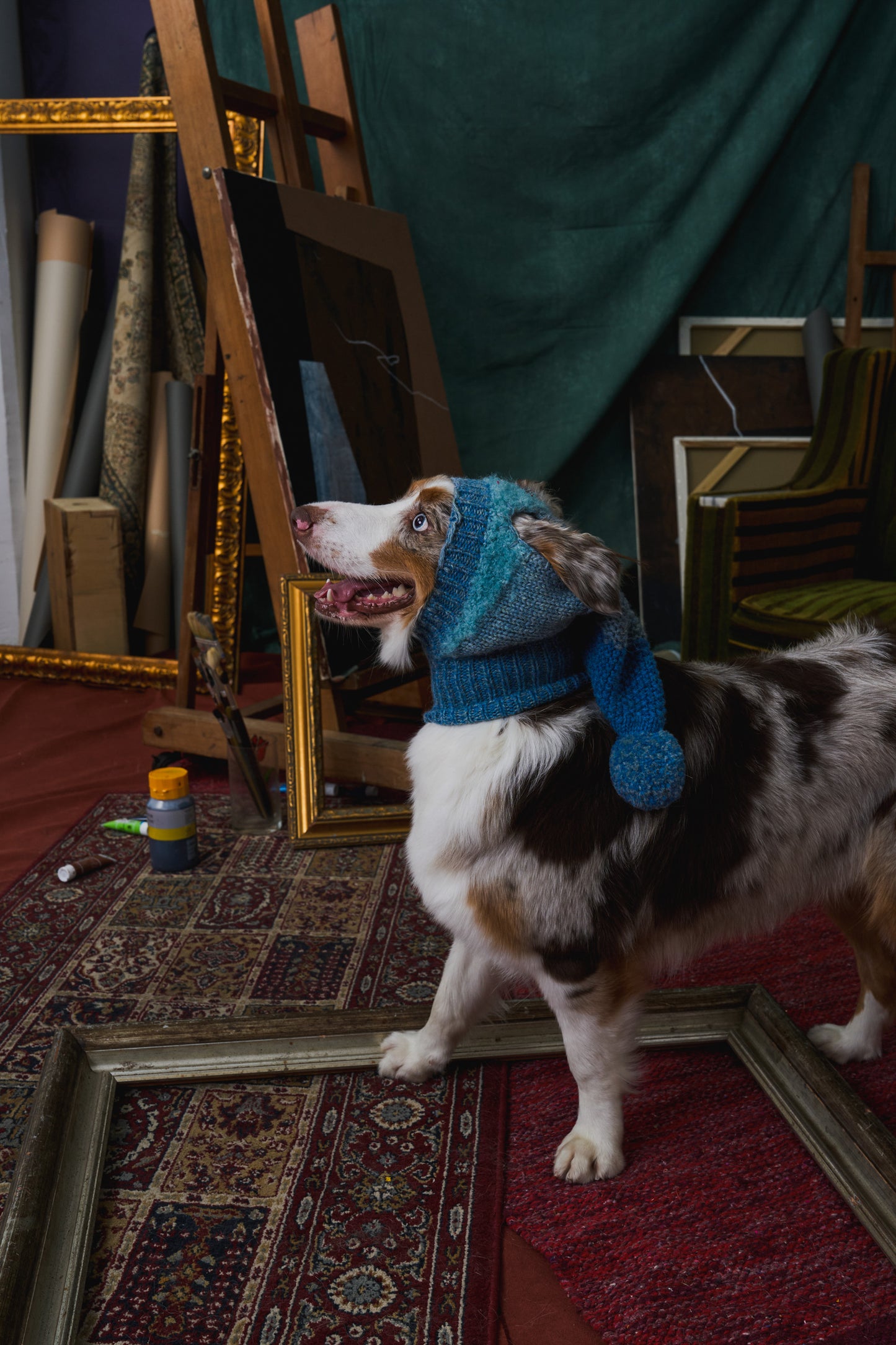 《犬用帽子》multi knit / No.402