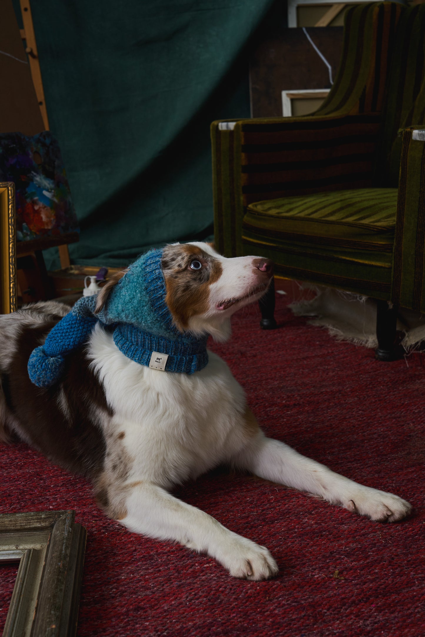 《犬用帽子》multi knit / No.402