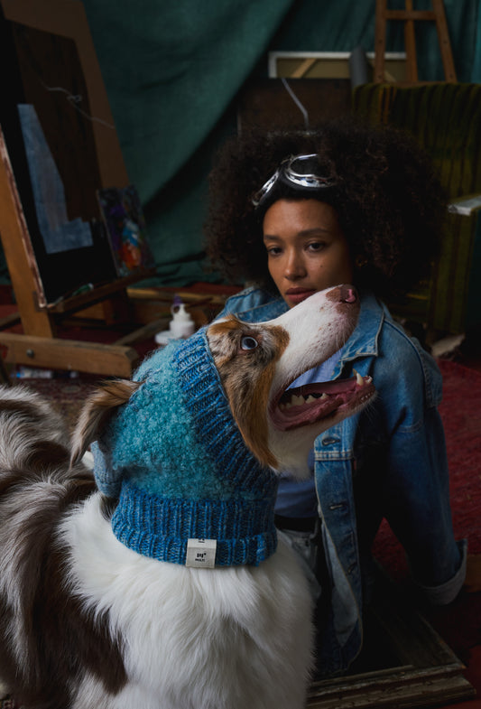 《犬用帽子》multi knit / No.402