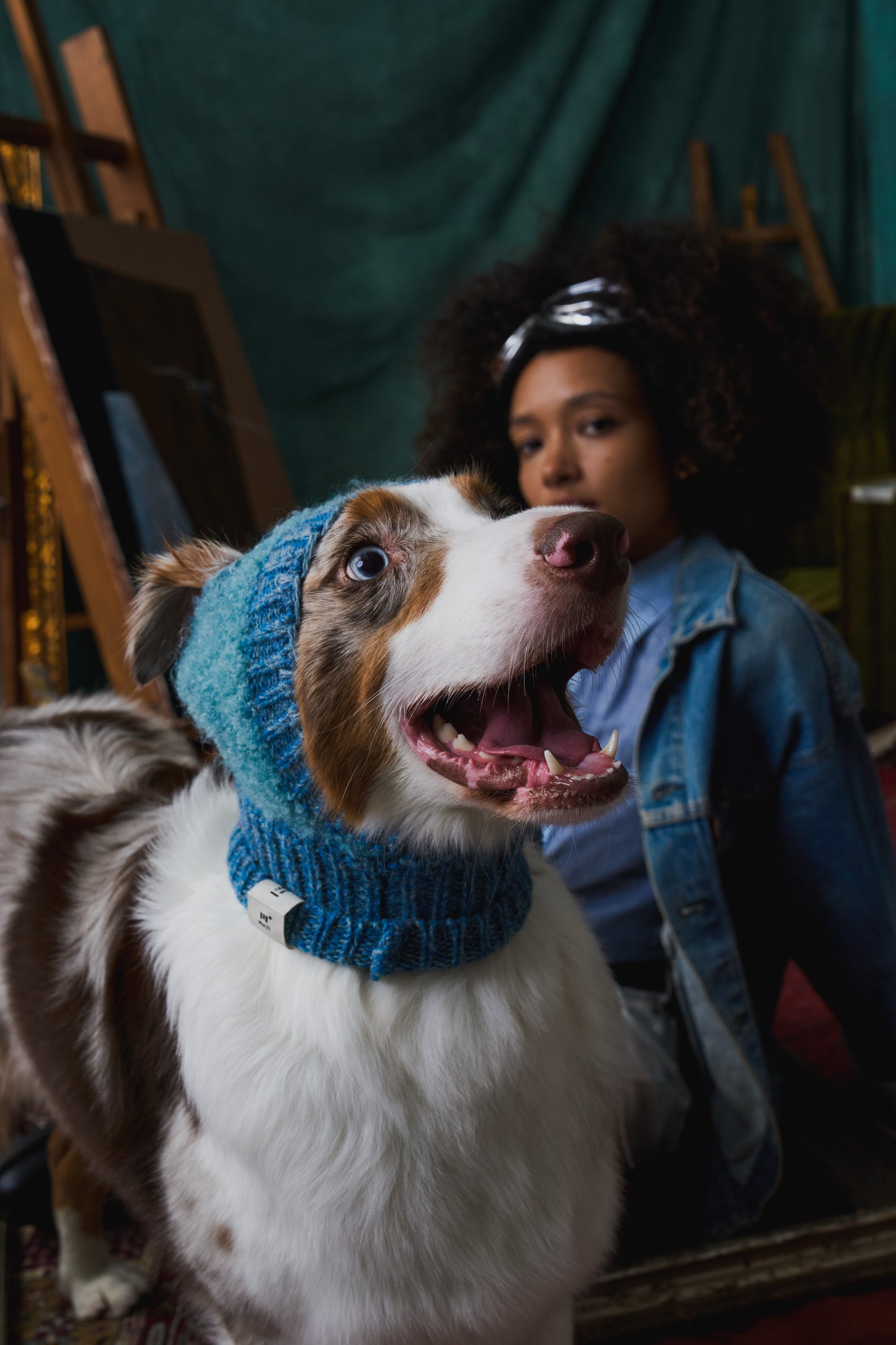 《犬用帽子》multi knit / No.402