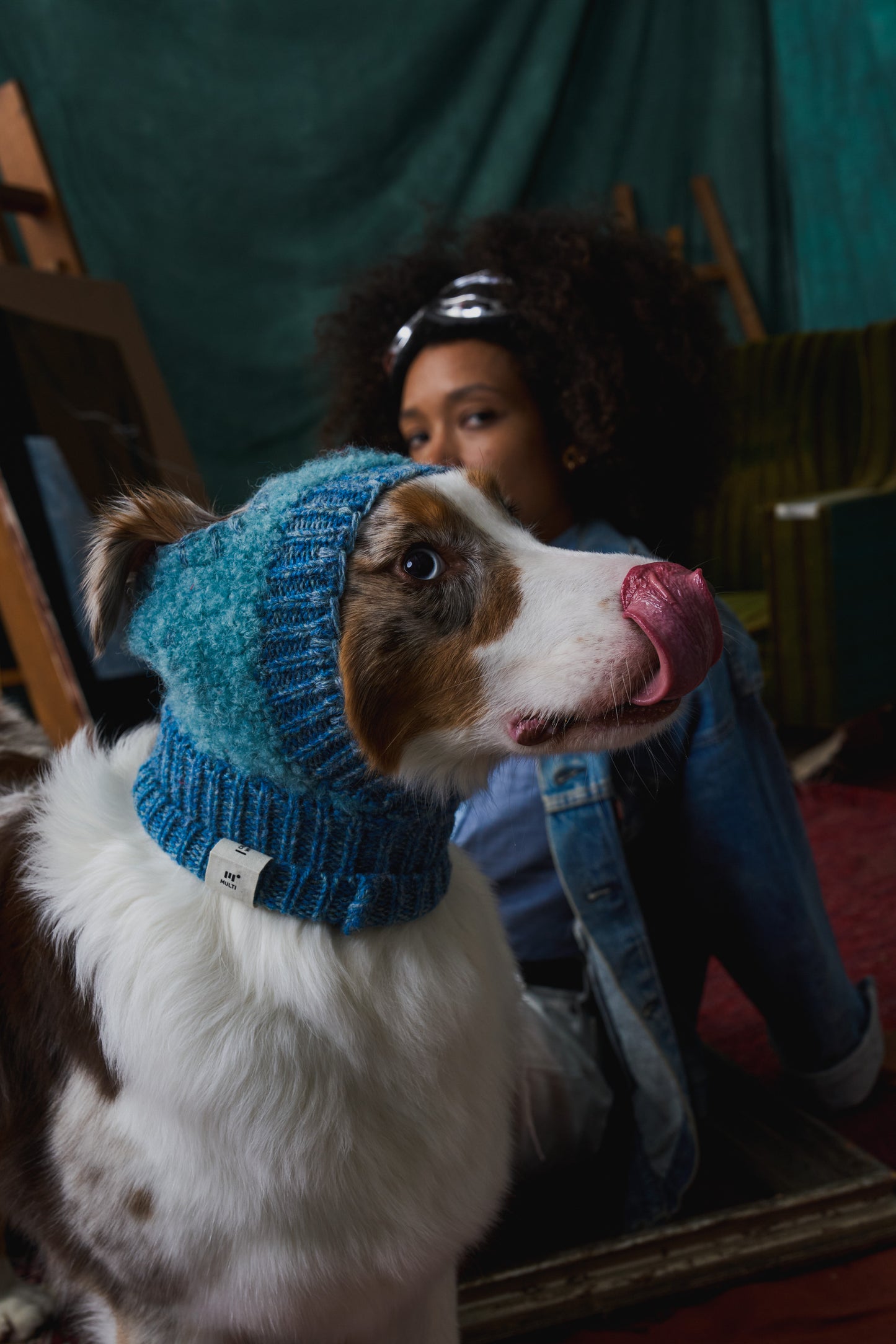 《犬用帽子》multi knit / No.402