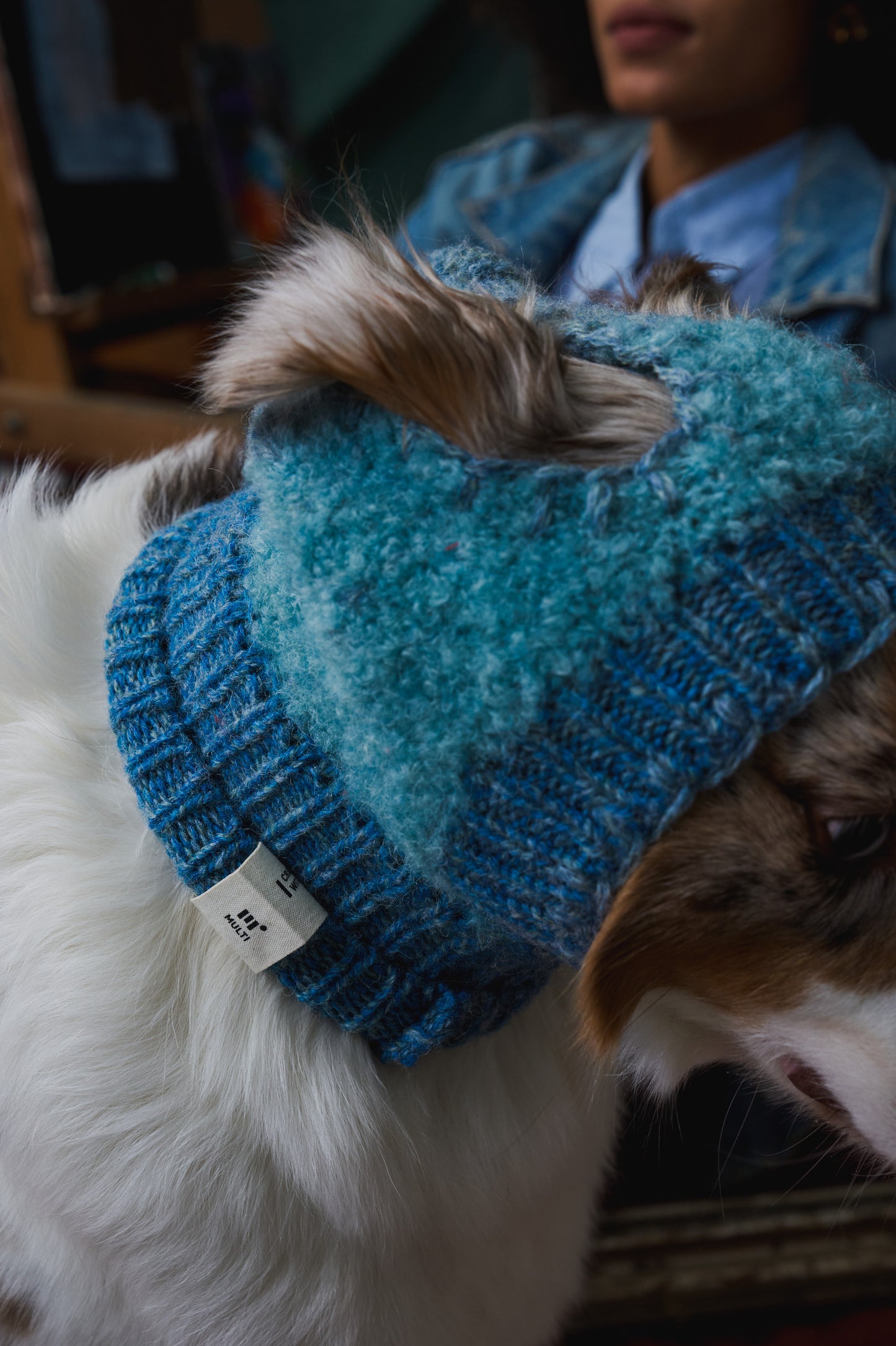 《犬用帽子》multi knit / No.402