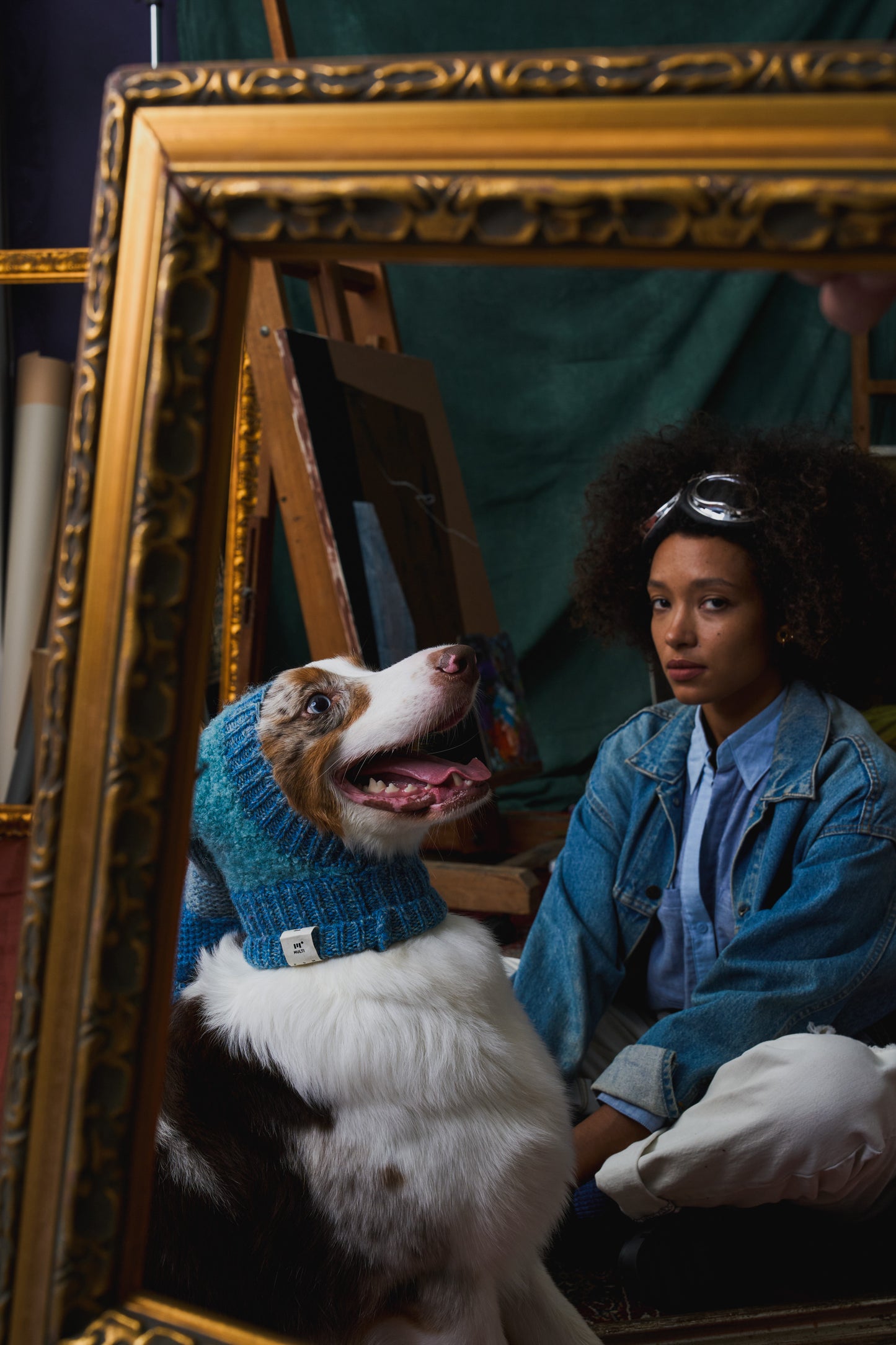 《犬用帽子》multi knit / No.402