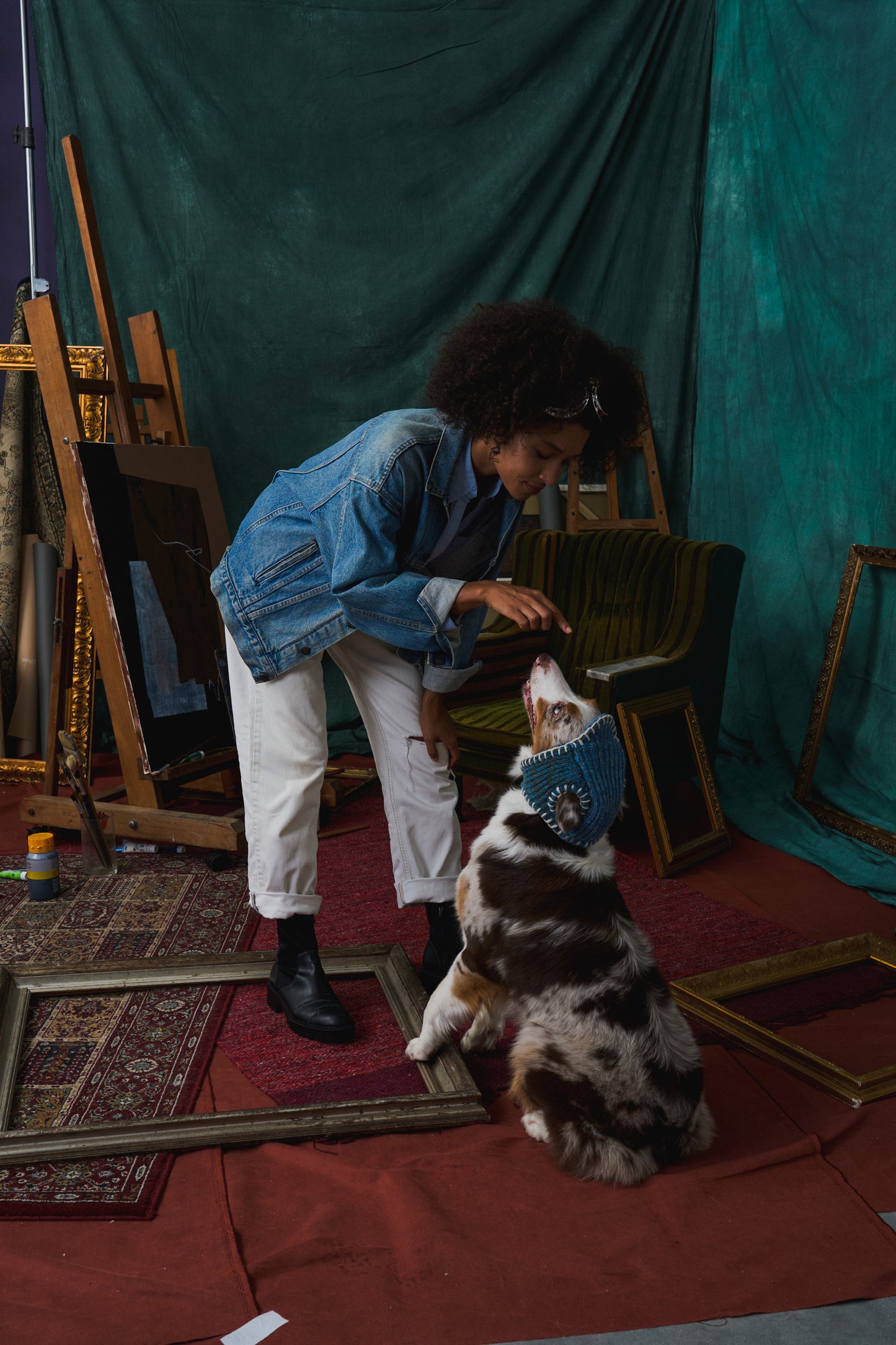 《犬用帽子》multi knit / No.401