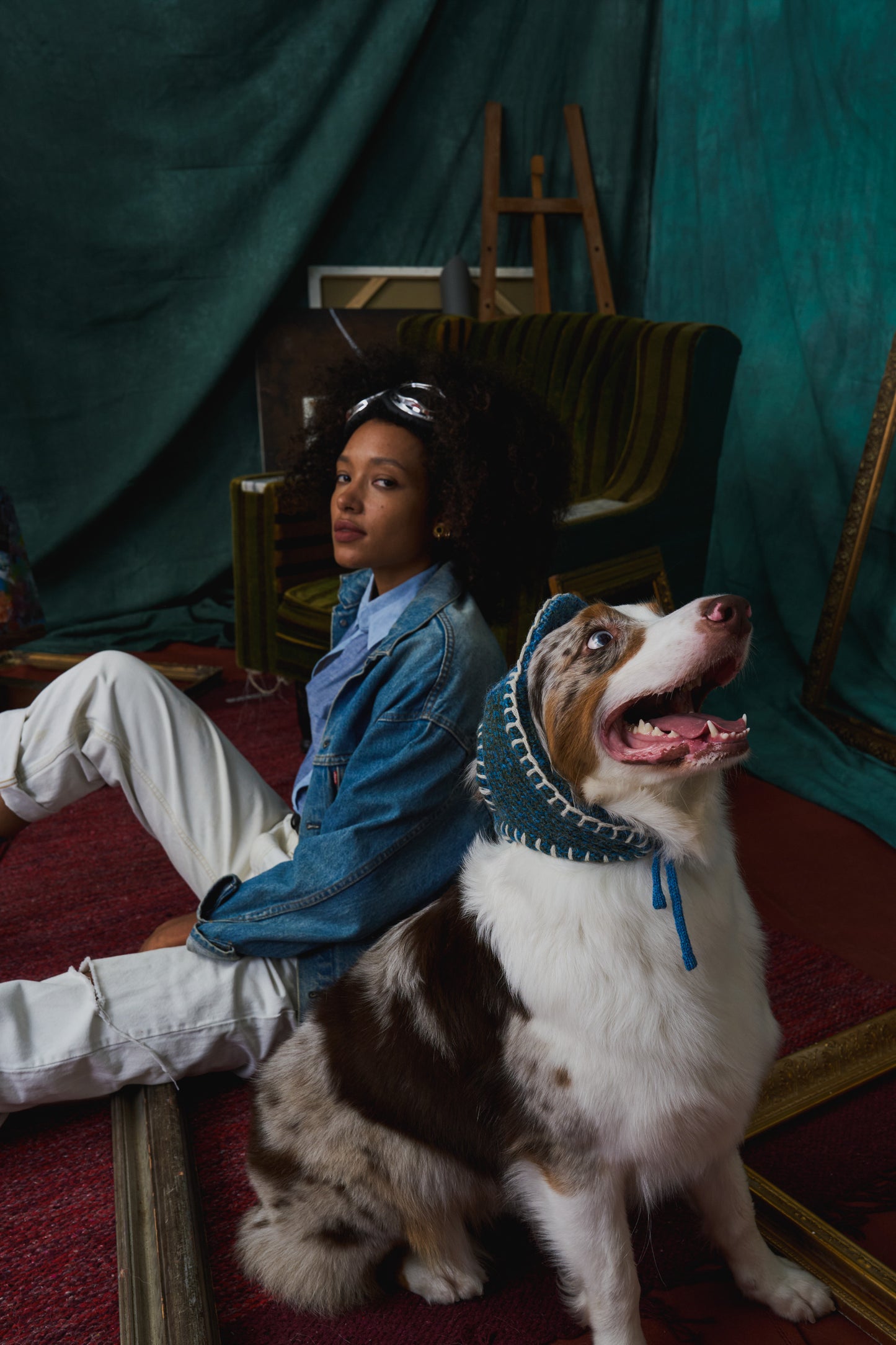 《犬用帽子》multi knit / No.401