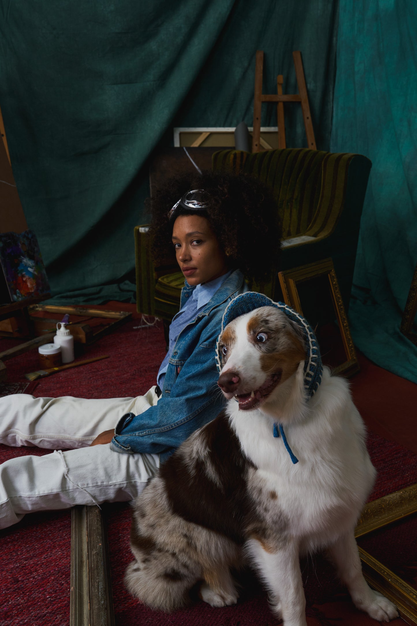 《犬用帽子》multi knit / No.401