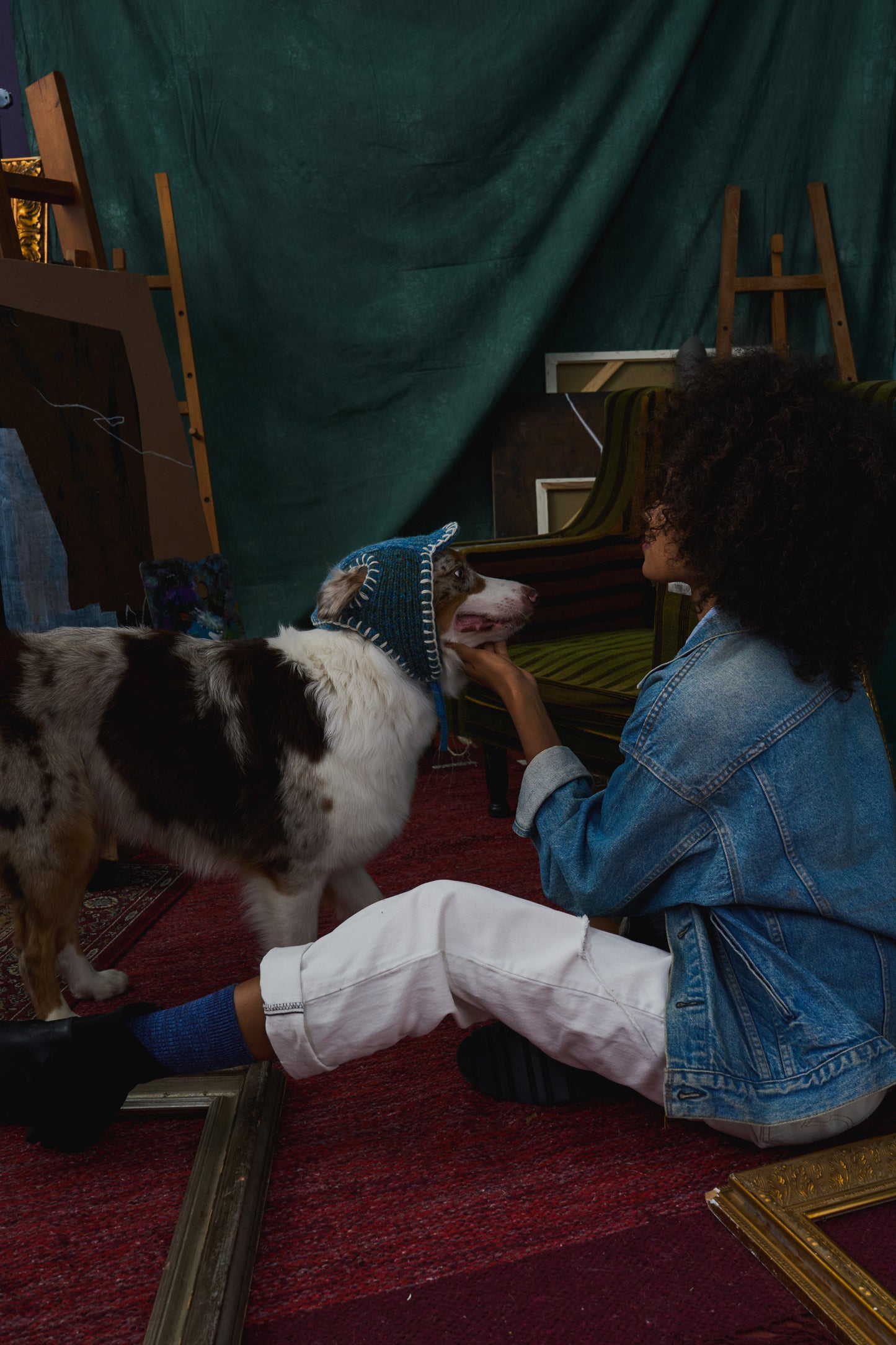 《犬用帽子》multi knit / No.401