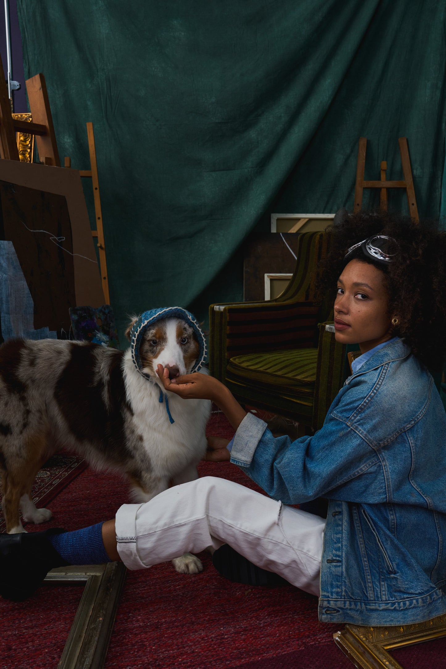 《犬用帽子》multi knit / No.401