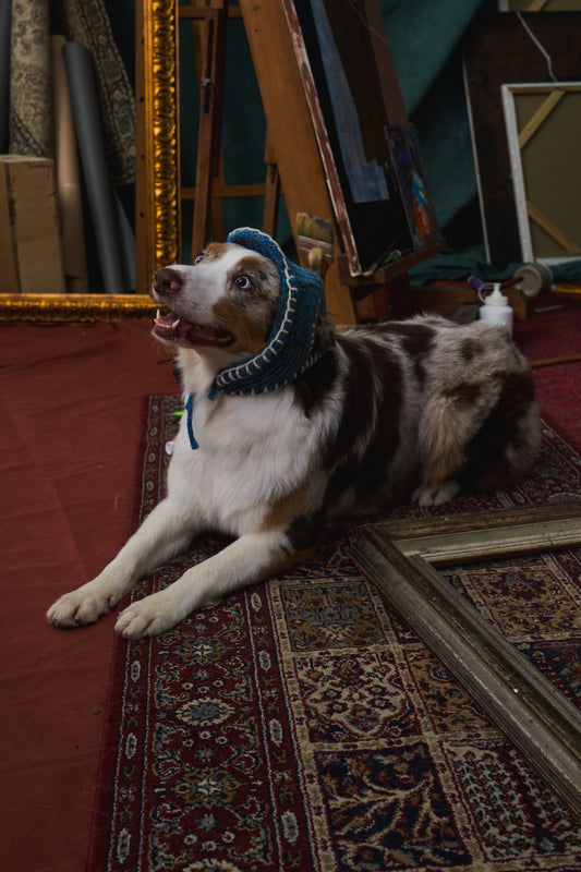 《犬用帽子》multi knit / No.401