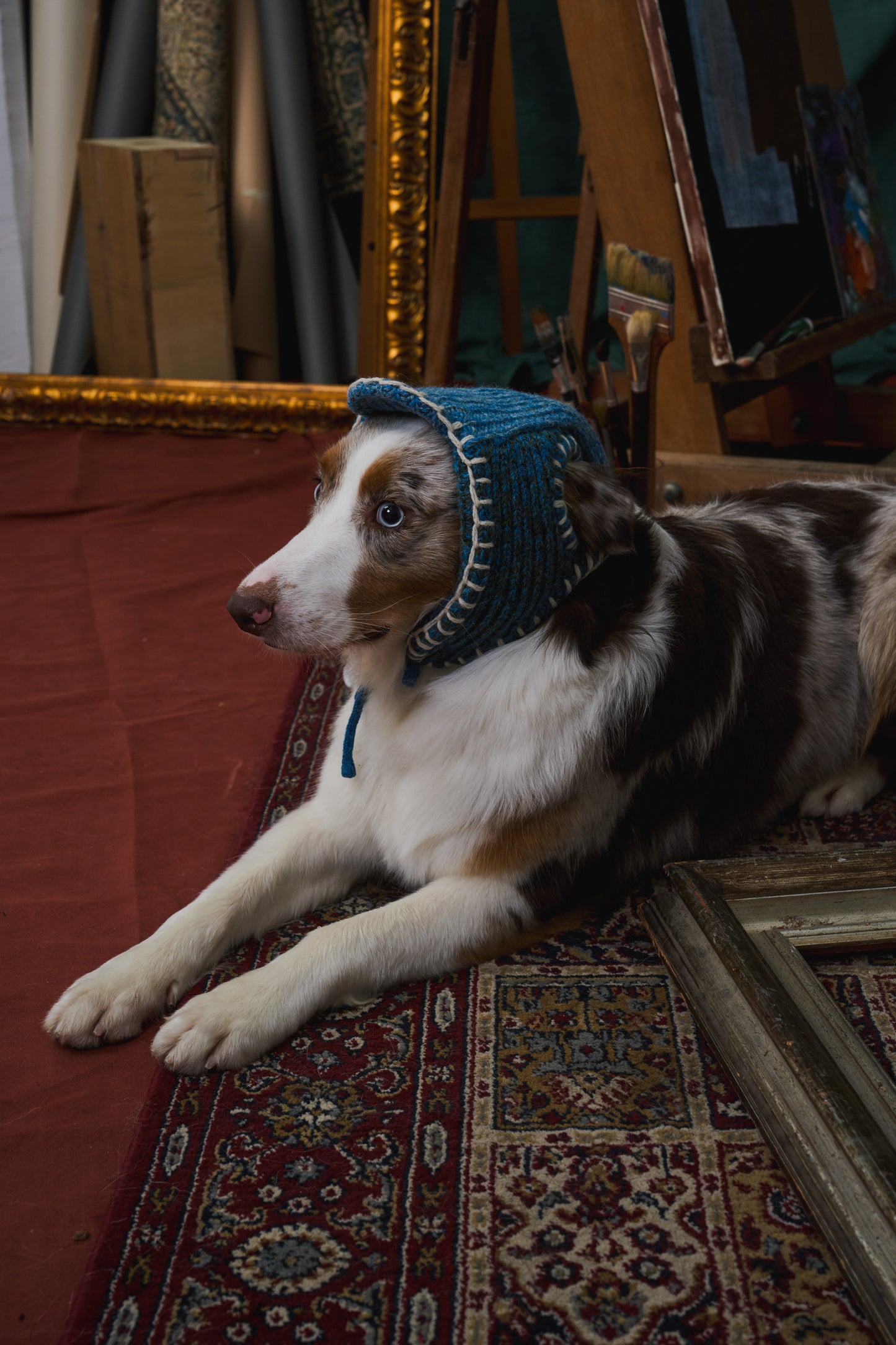 《犬用帽子》multi knit / No.401