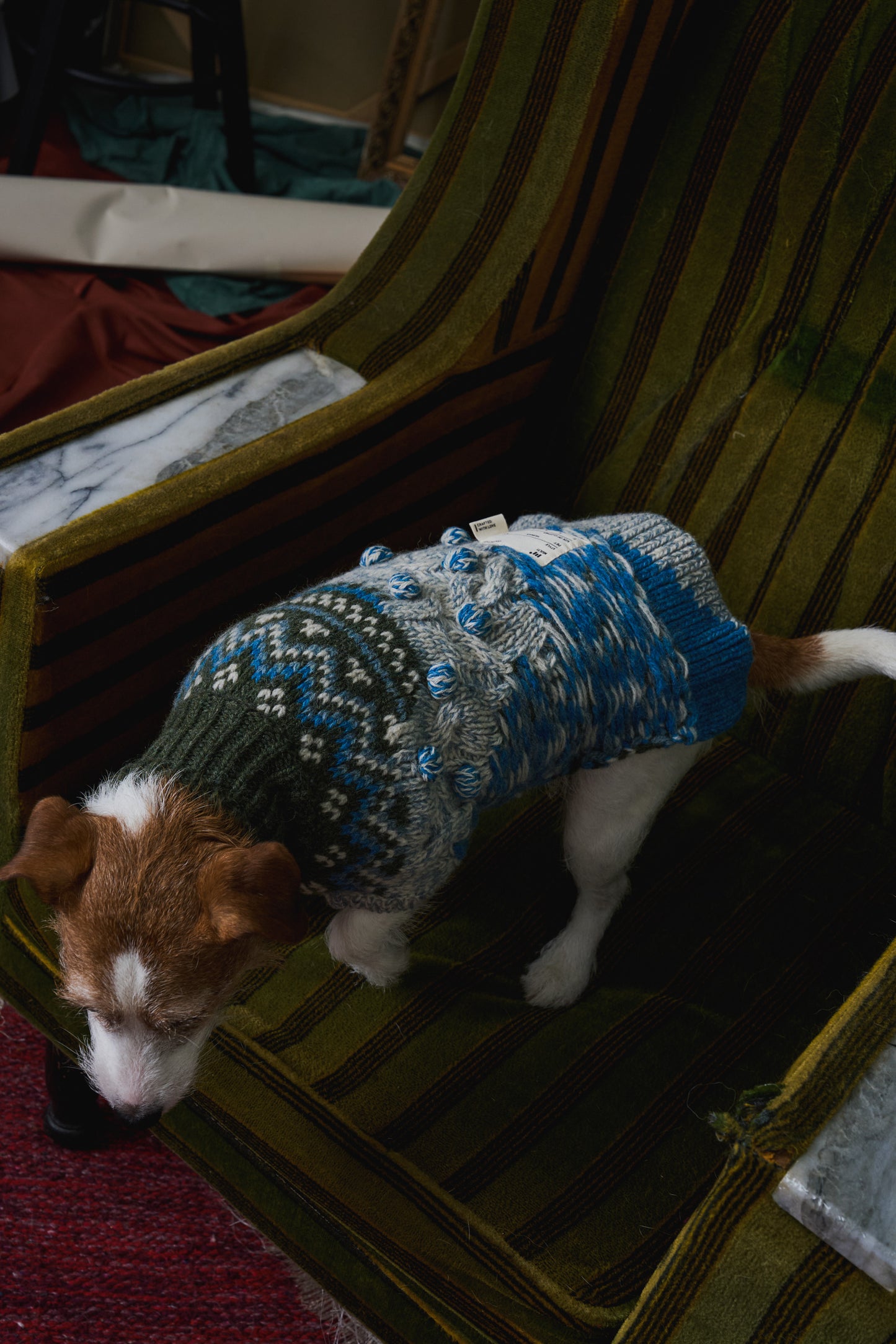 《犬服》multi knit / No. 404