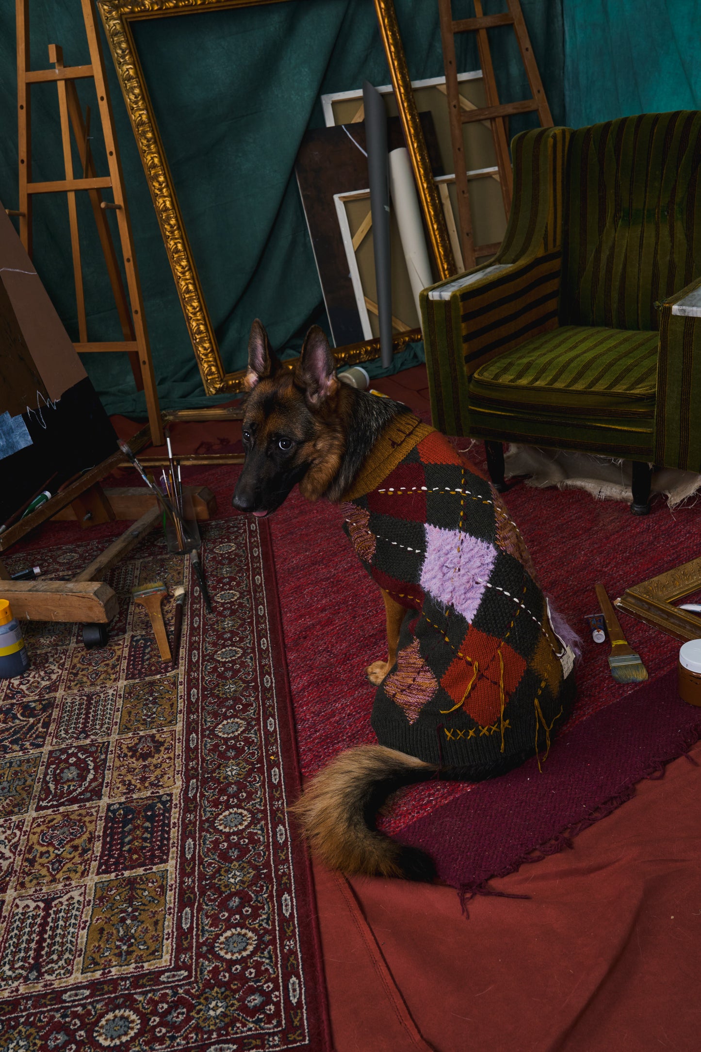 《犬服》multi knit / No. 408