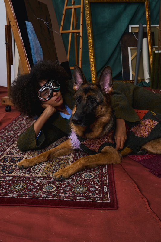 《犬服》multi knit / No. 408