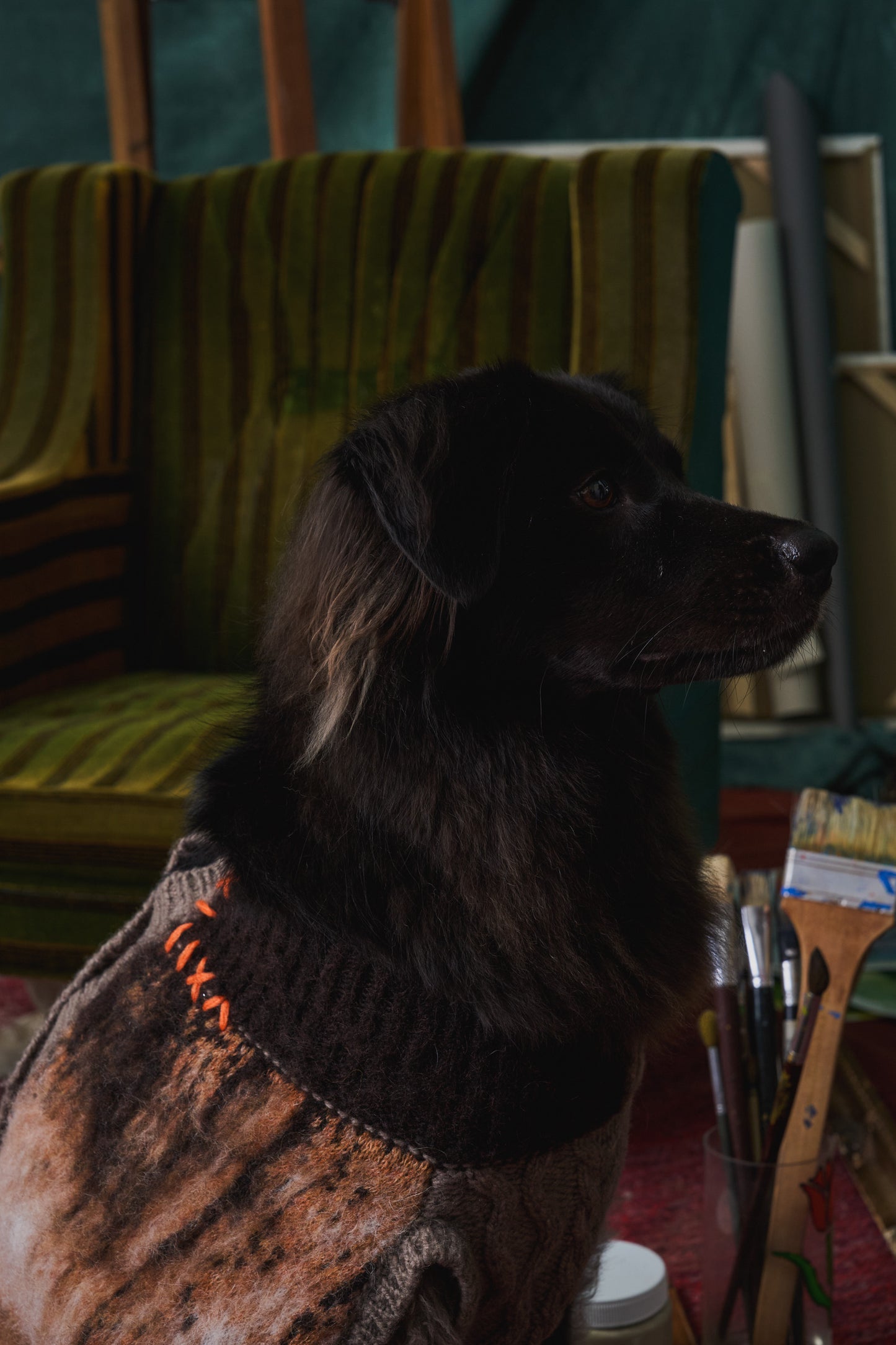 《犬服》multi knit / No. 409