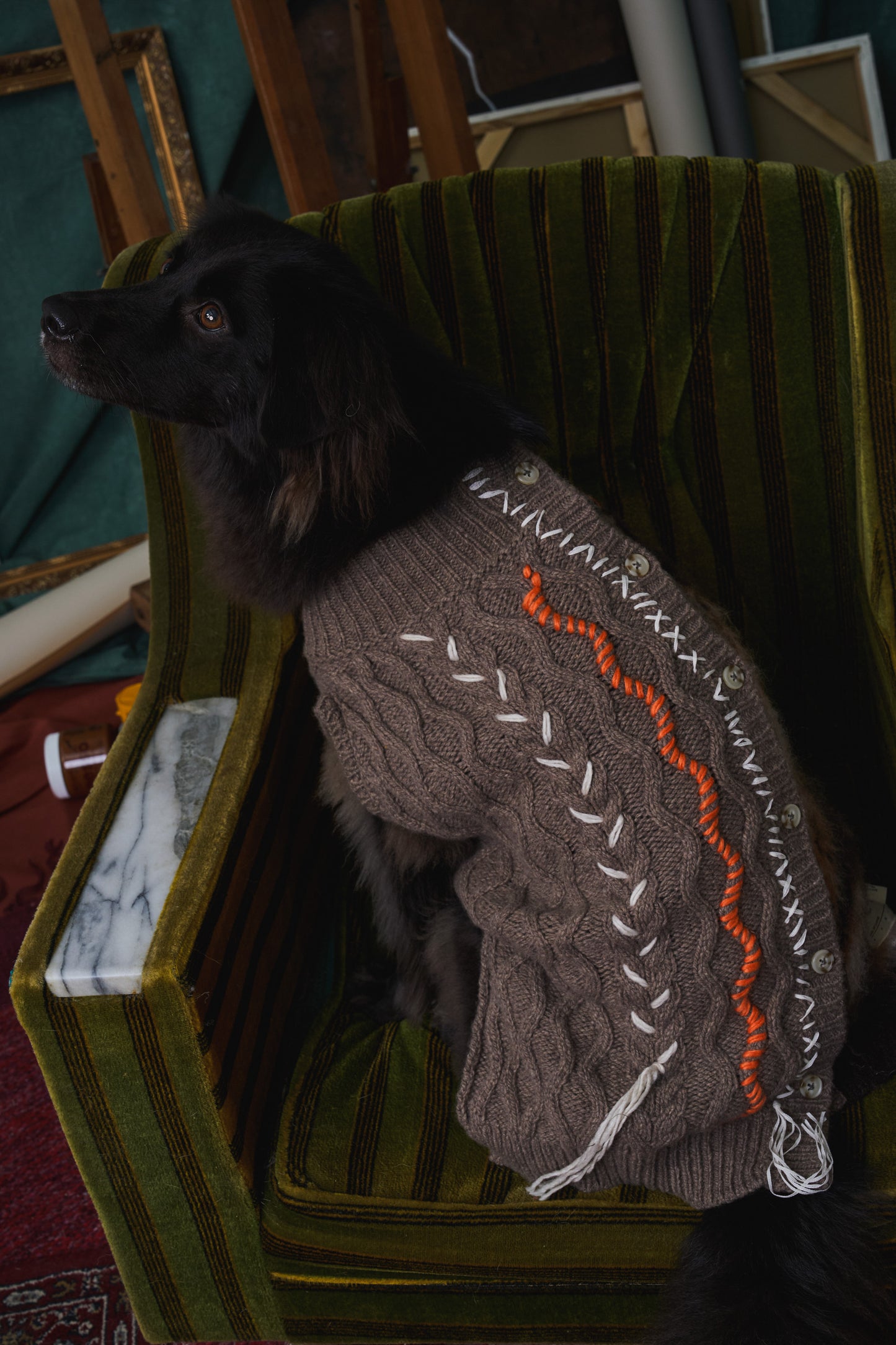 《犬服》multi knit / No. 409