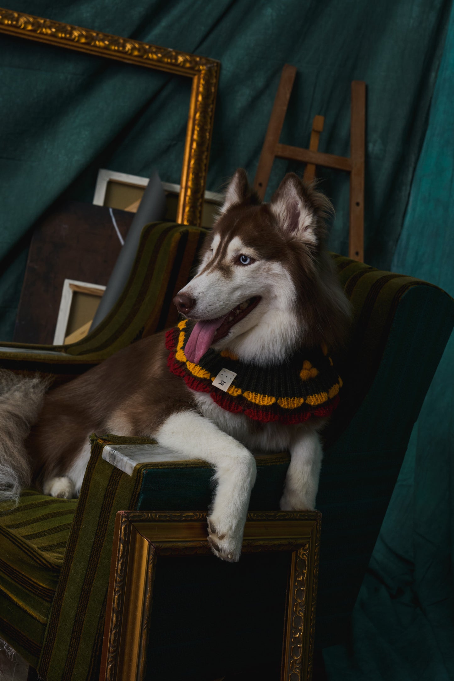 《スタイ》multi knit / No.415