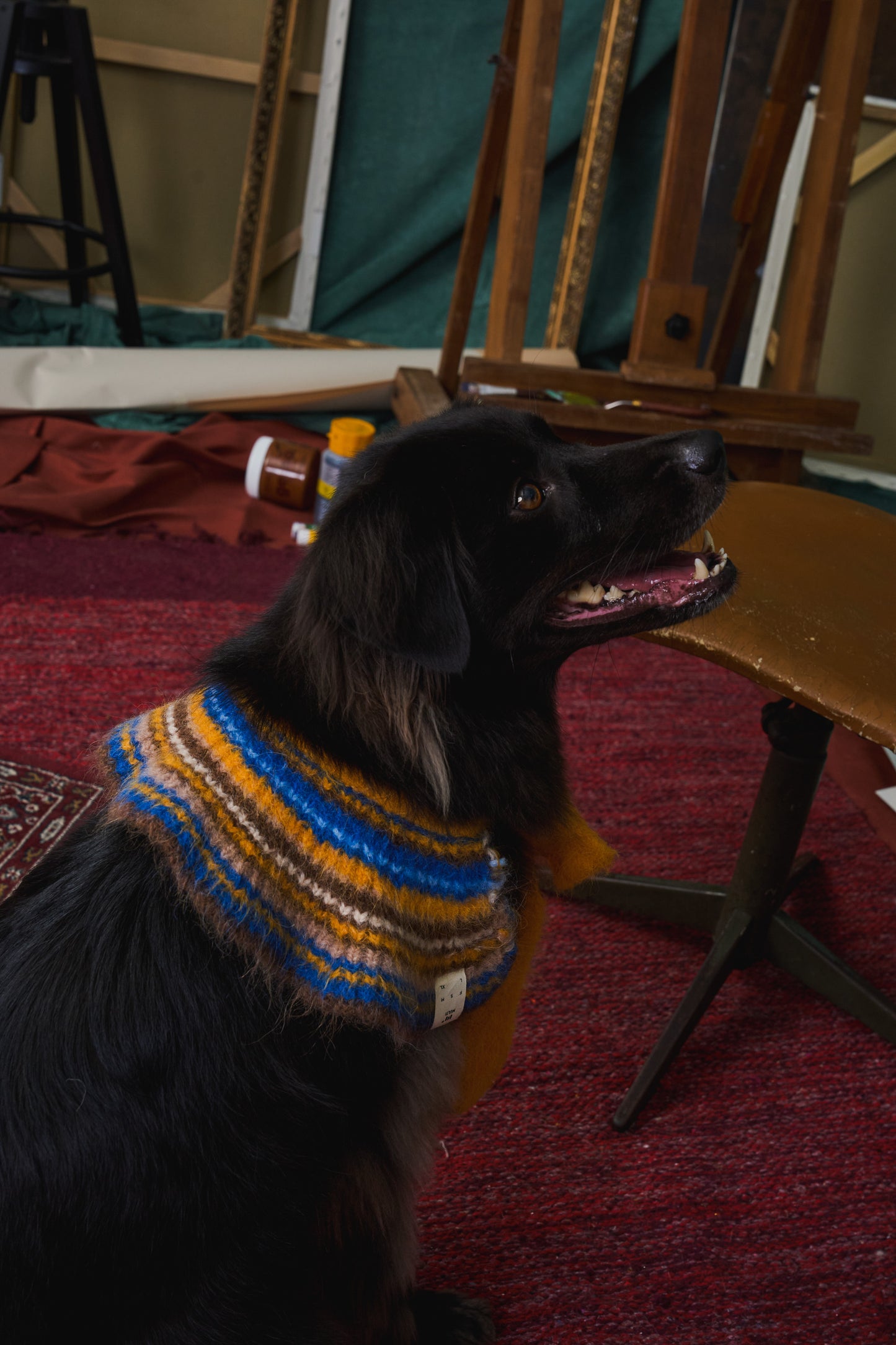 《スタイ》multi knit / No.417