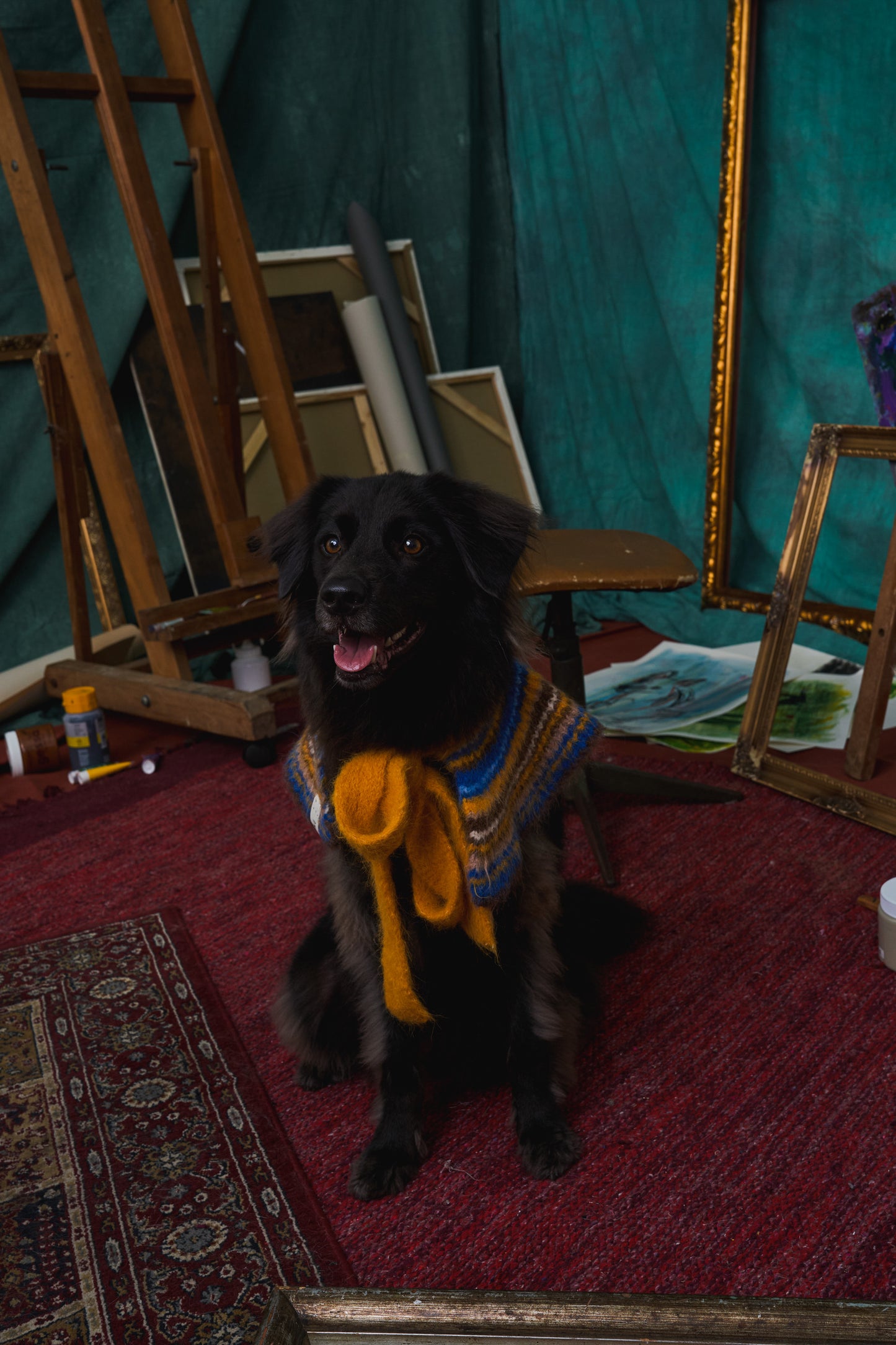 《スタイ》multi knit / No.417