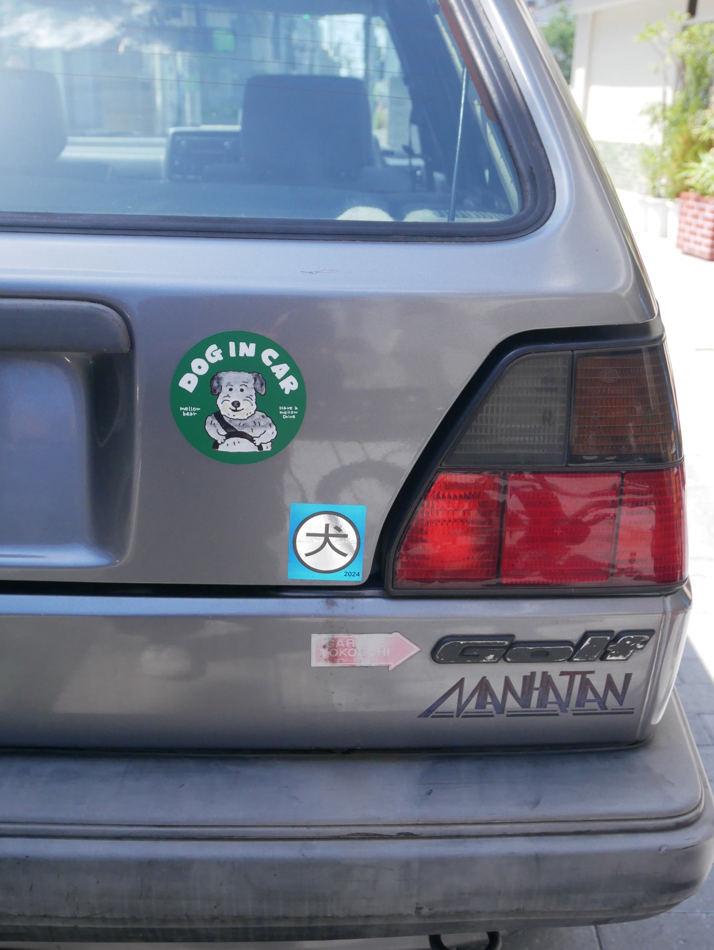 DOG IN CAR magnet
