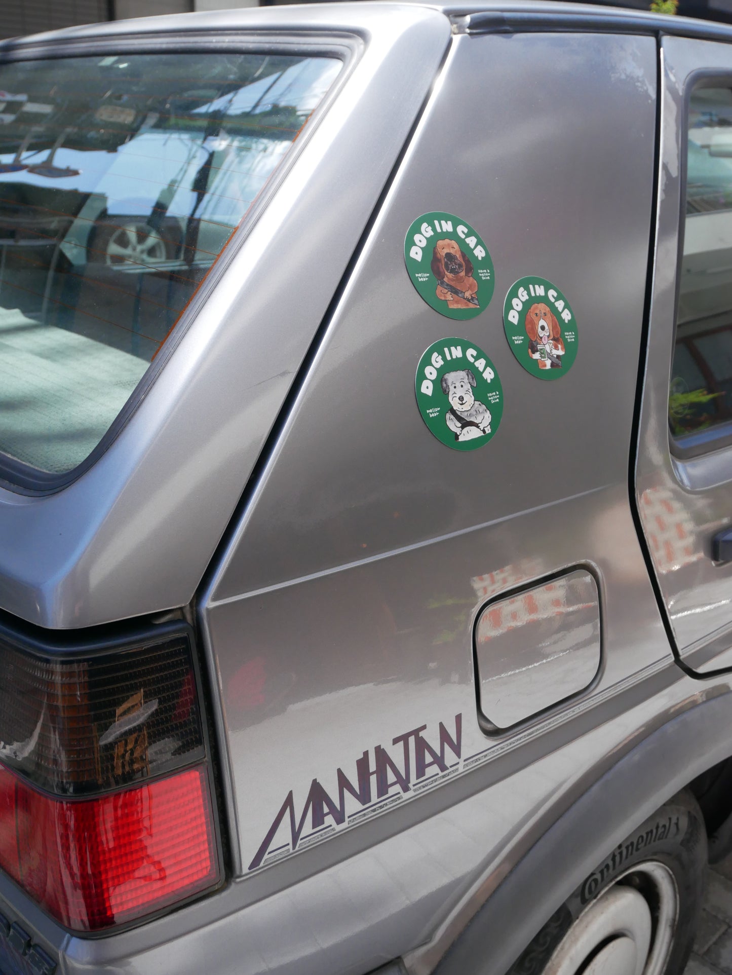 DOG IN CAR magnet