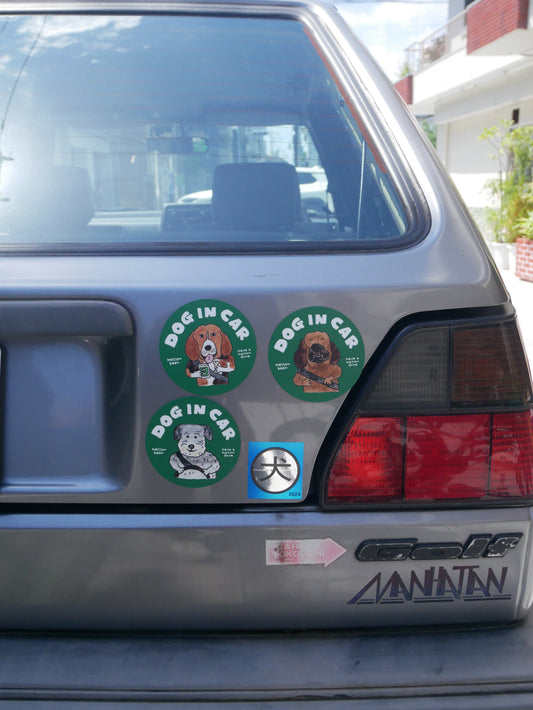 DOG IN CAR magnet