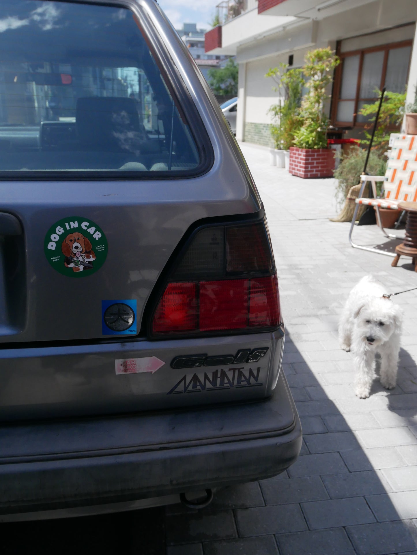 DOG IN CAR magnet