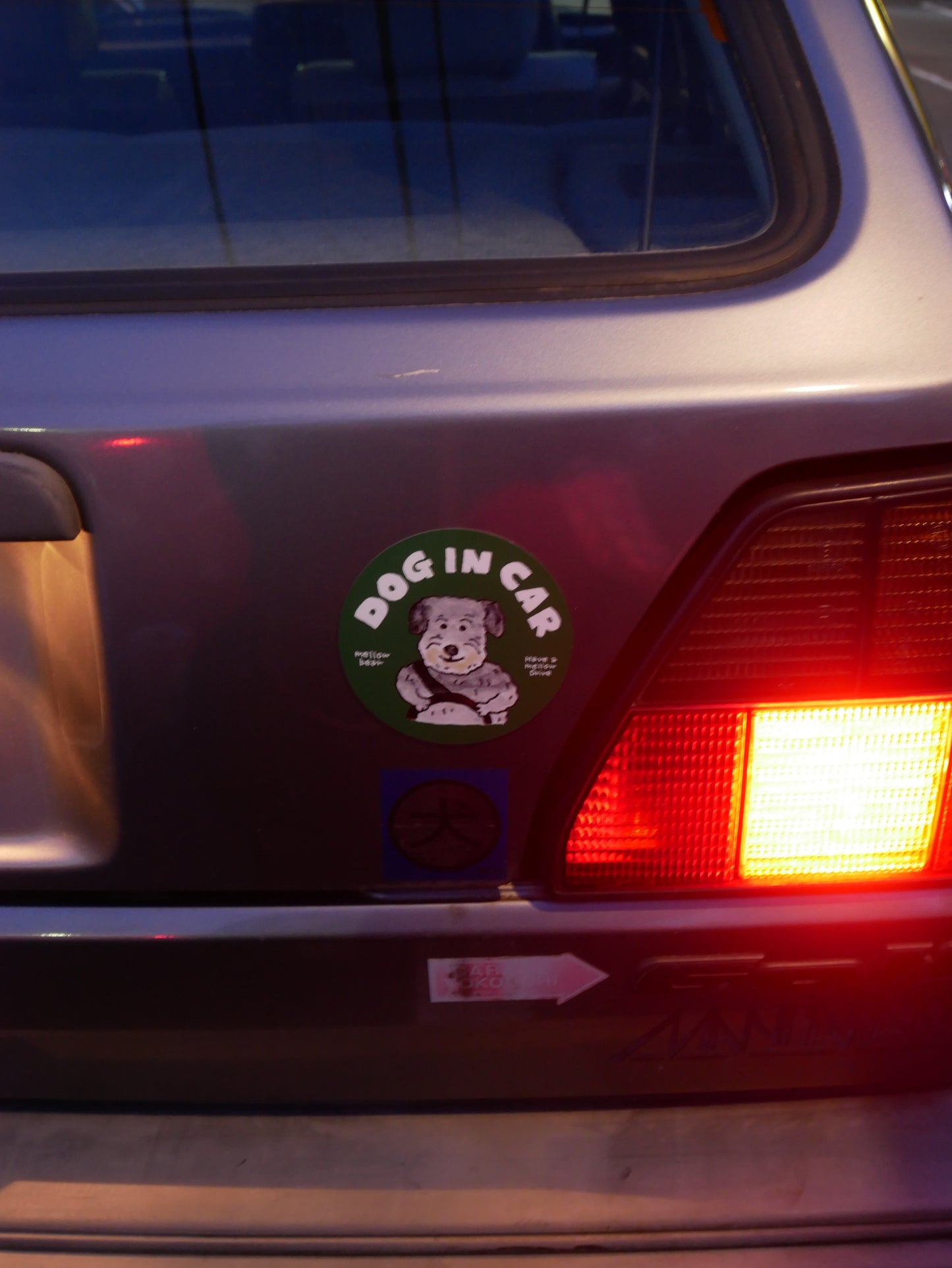 DOG IN CAR magnet
