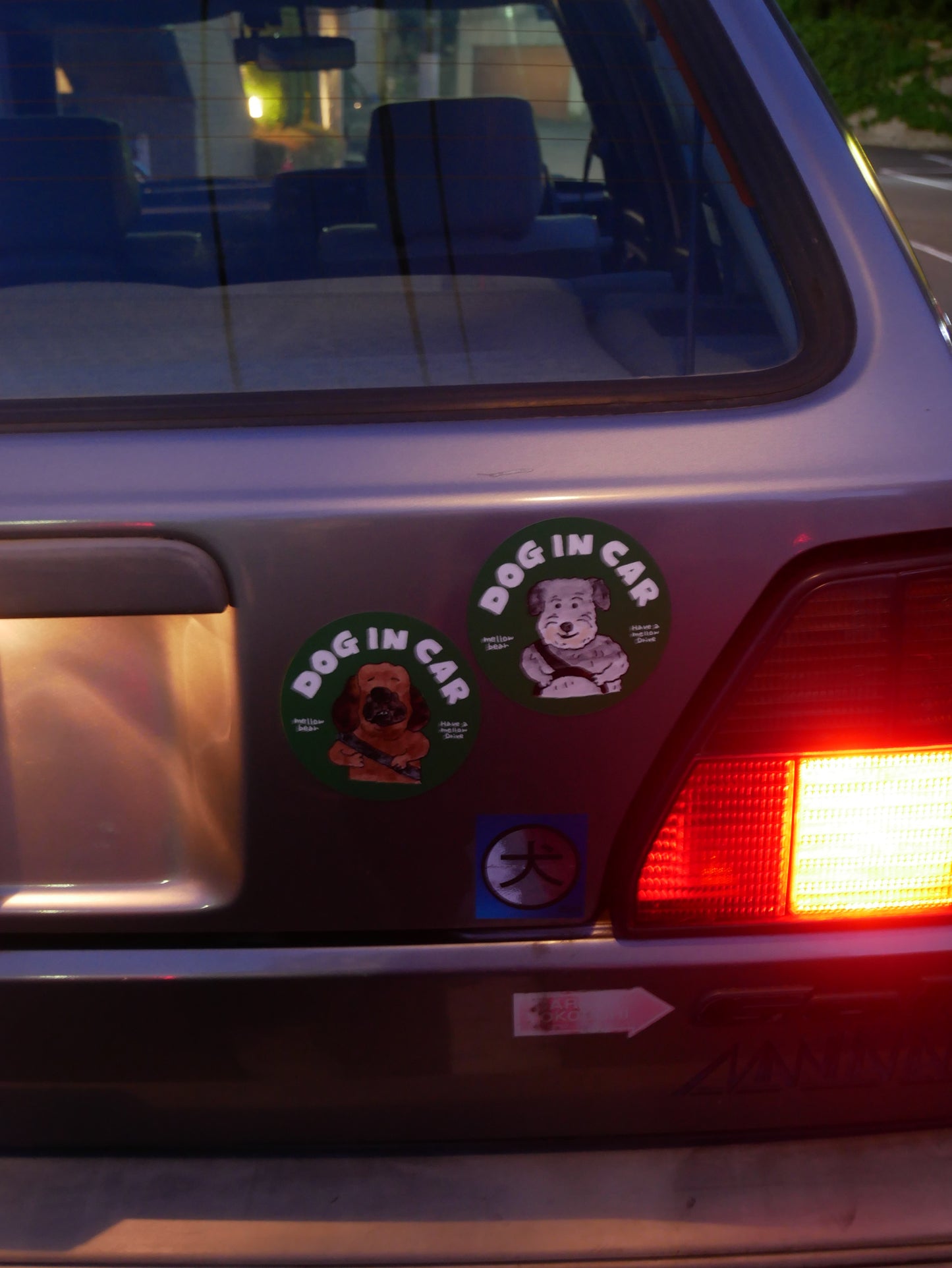 DOG IN CAR magnet