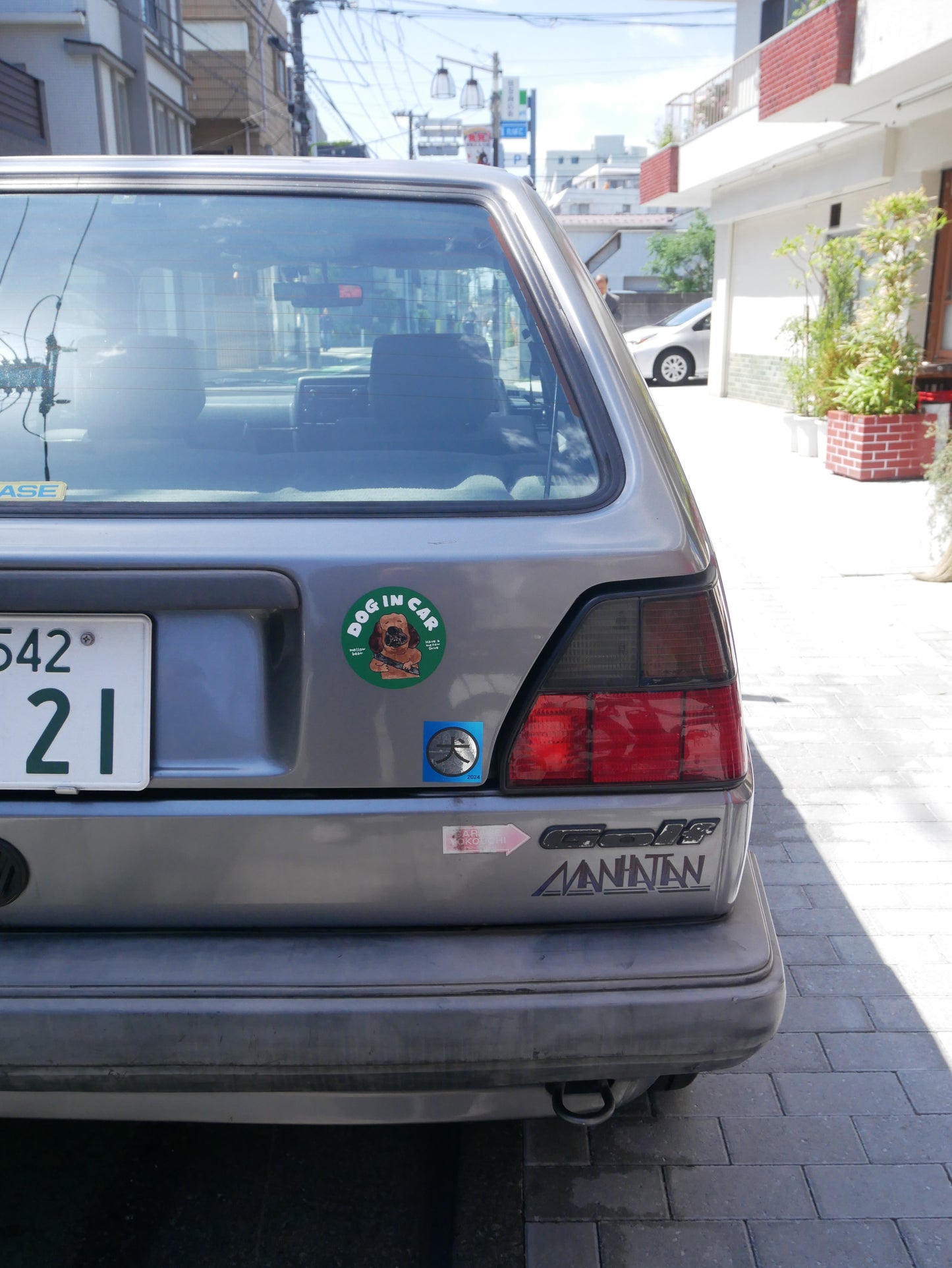 DOG IN CAR magnet