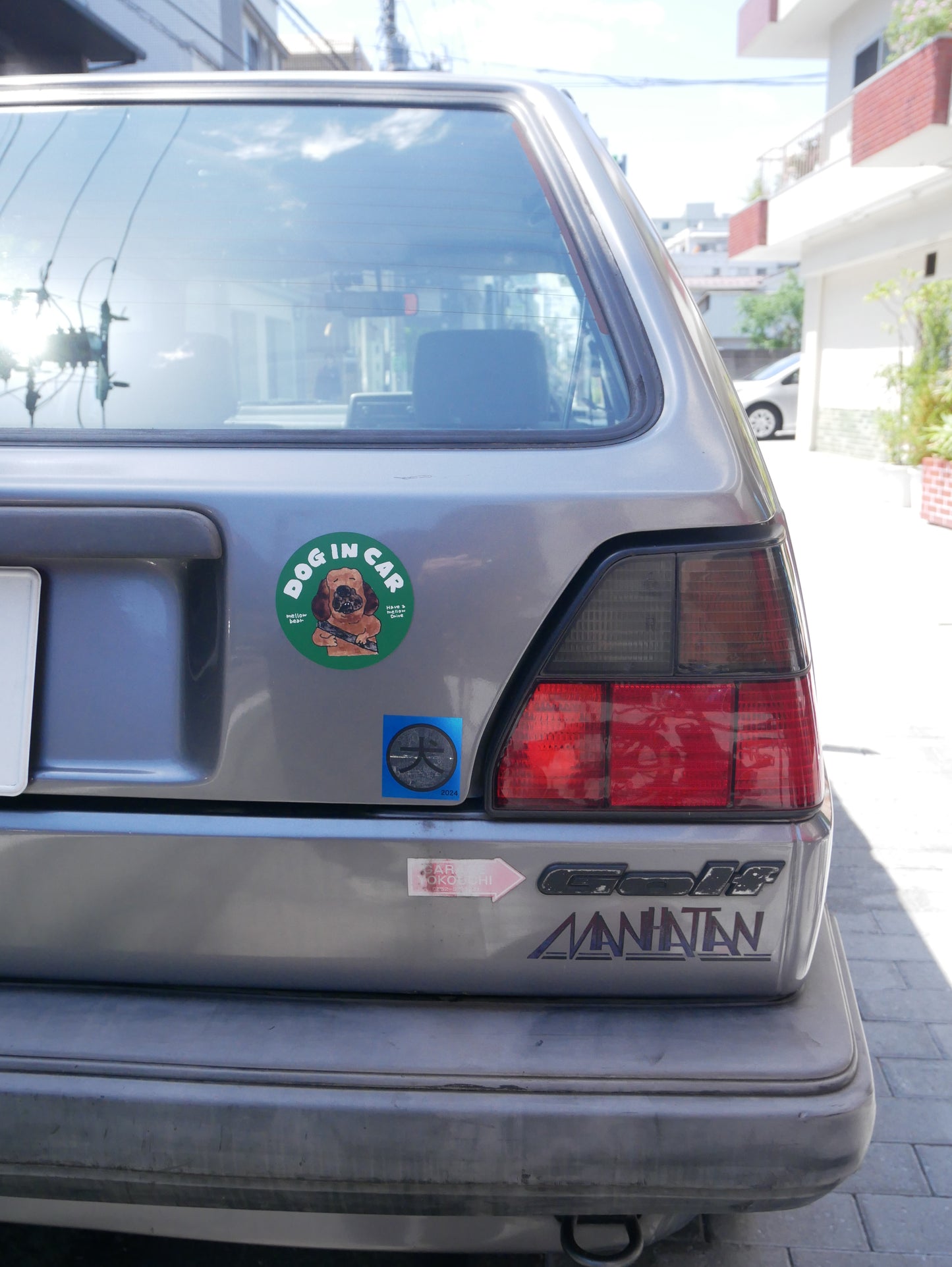 DOG IN CAR magnet