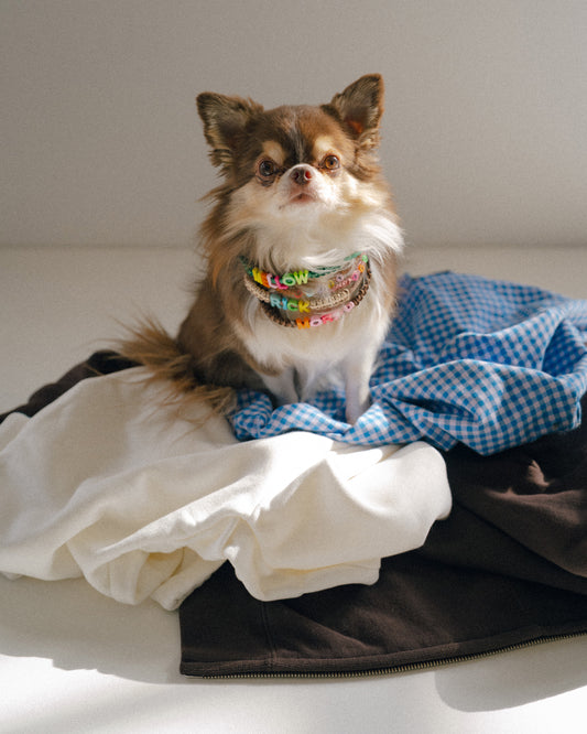 PAW CHOKER / 軽いネームタグ　