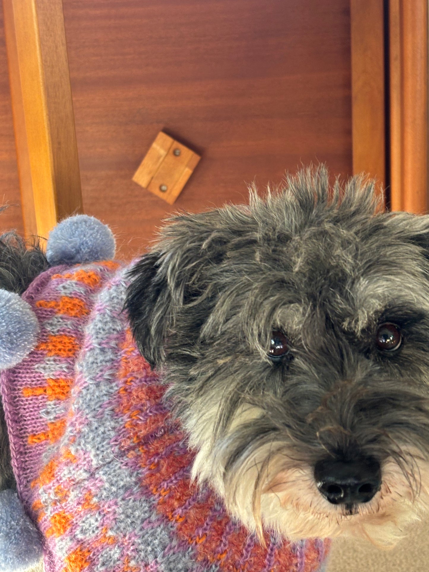 I think I look goood ぽんちょ　　