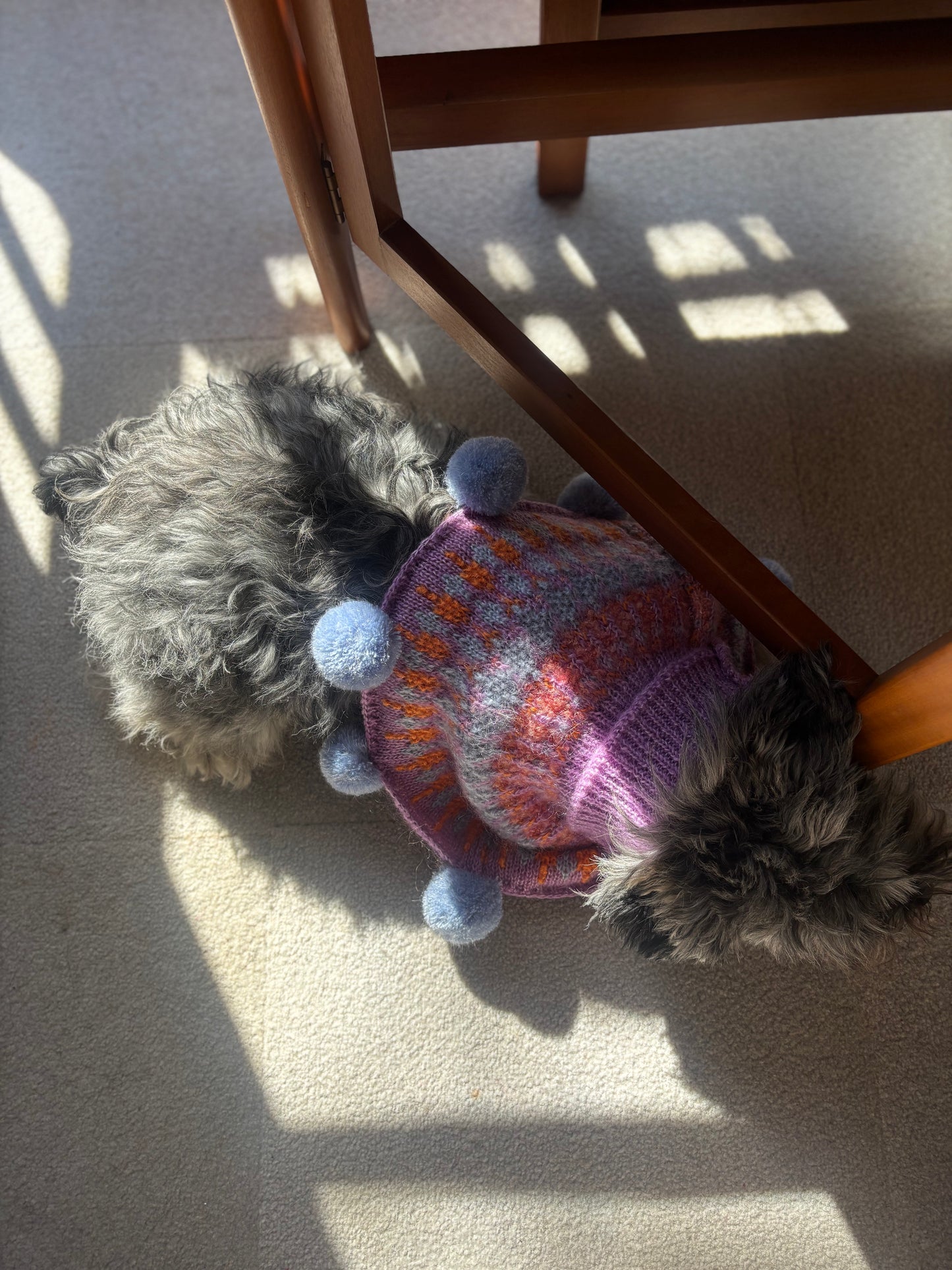 I think I look goood ぽんちょ　　