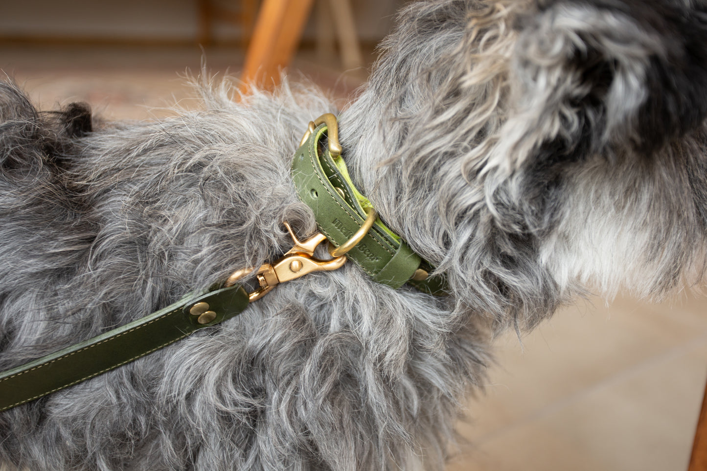 warm hugs collections / リードと首輪