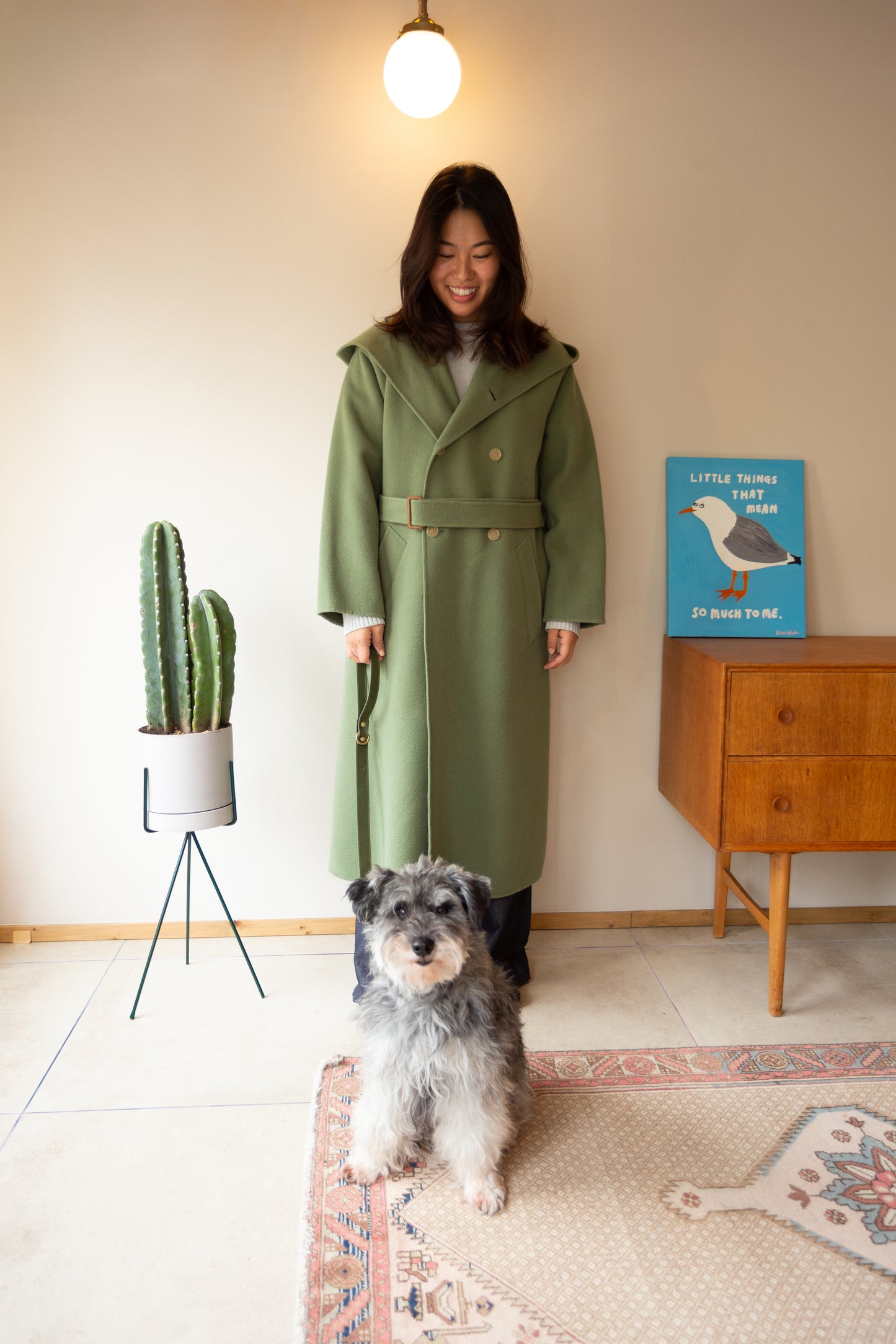 warm hugs collections / リードと首輪