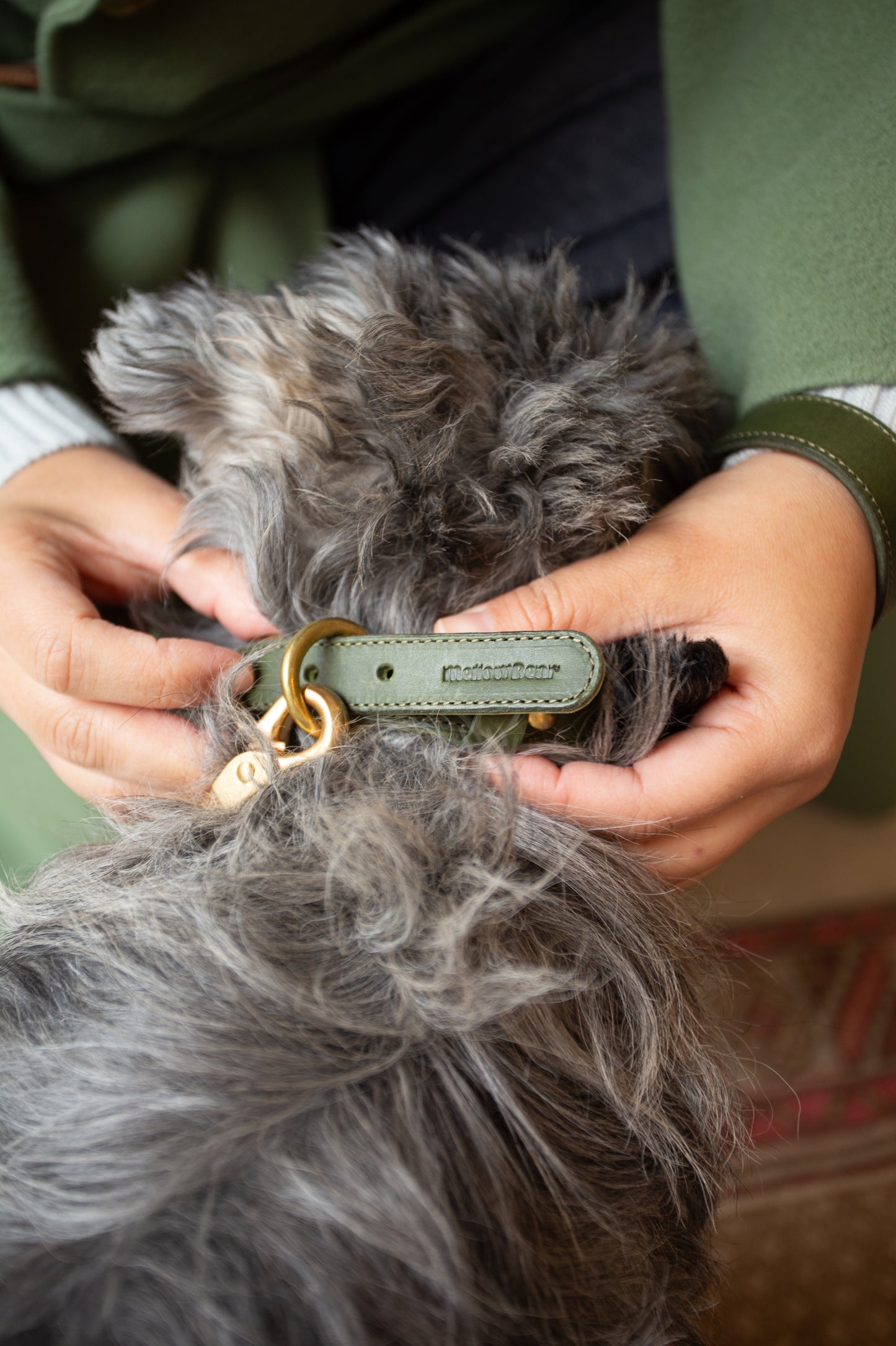 warm hugs collections / リードと首輪