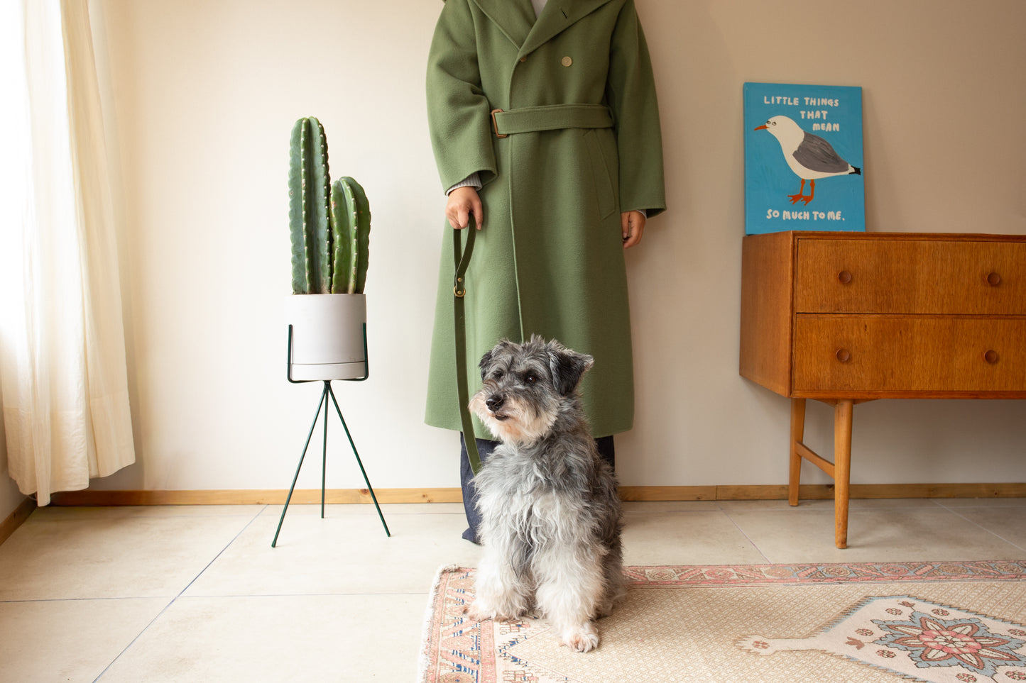 warm hugs collections / リードと首輪