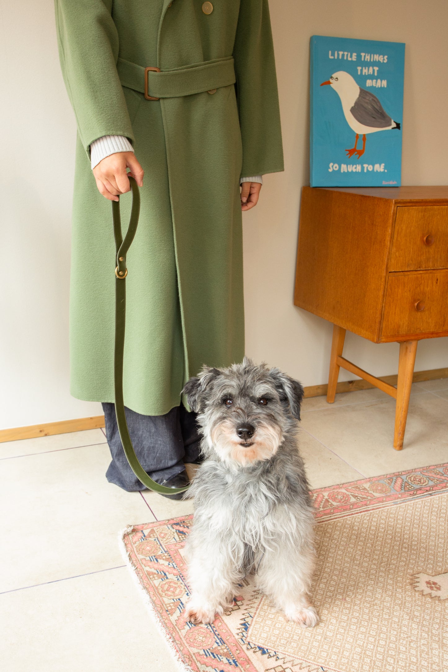 warm hugs collections / リードと首輪