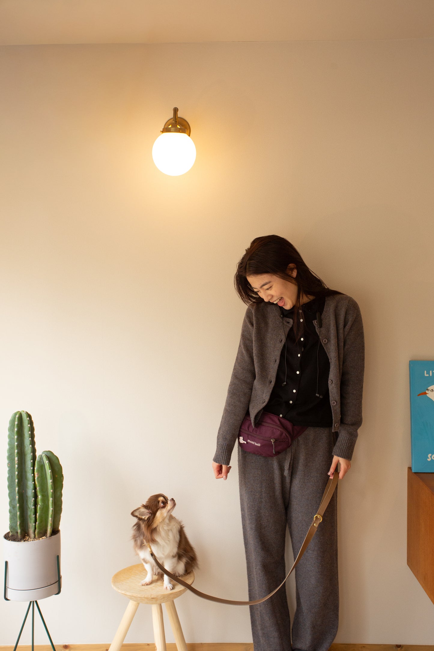 warm hugs collections / リードと首輪