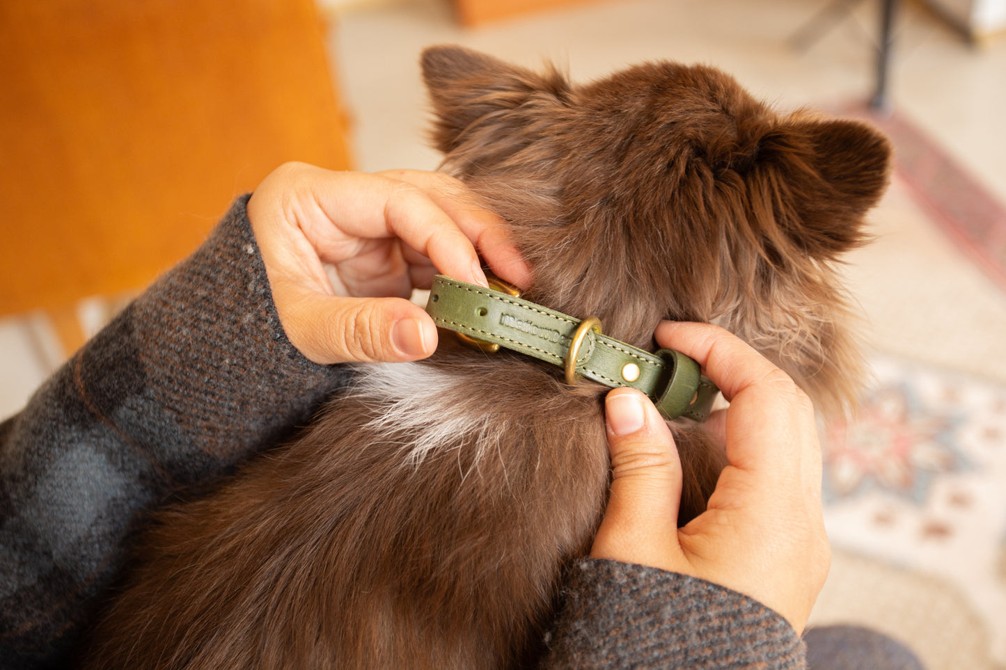 warm hugs collections / リードと首輪