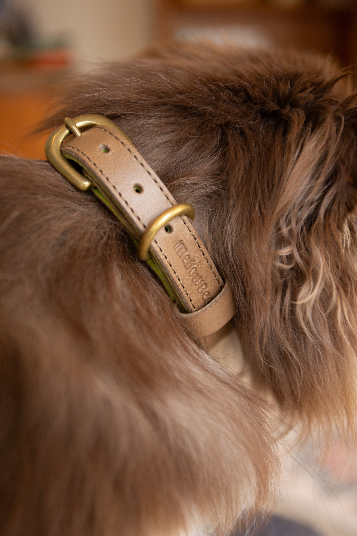 warm hugs collections / リードと首輪