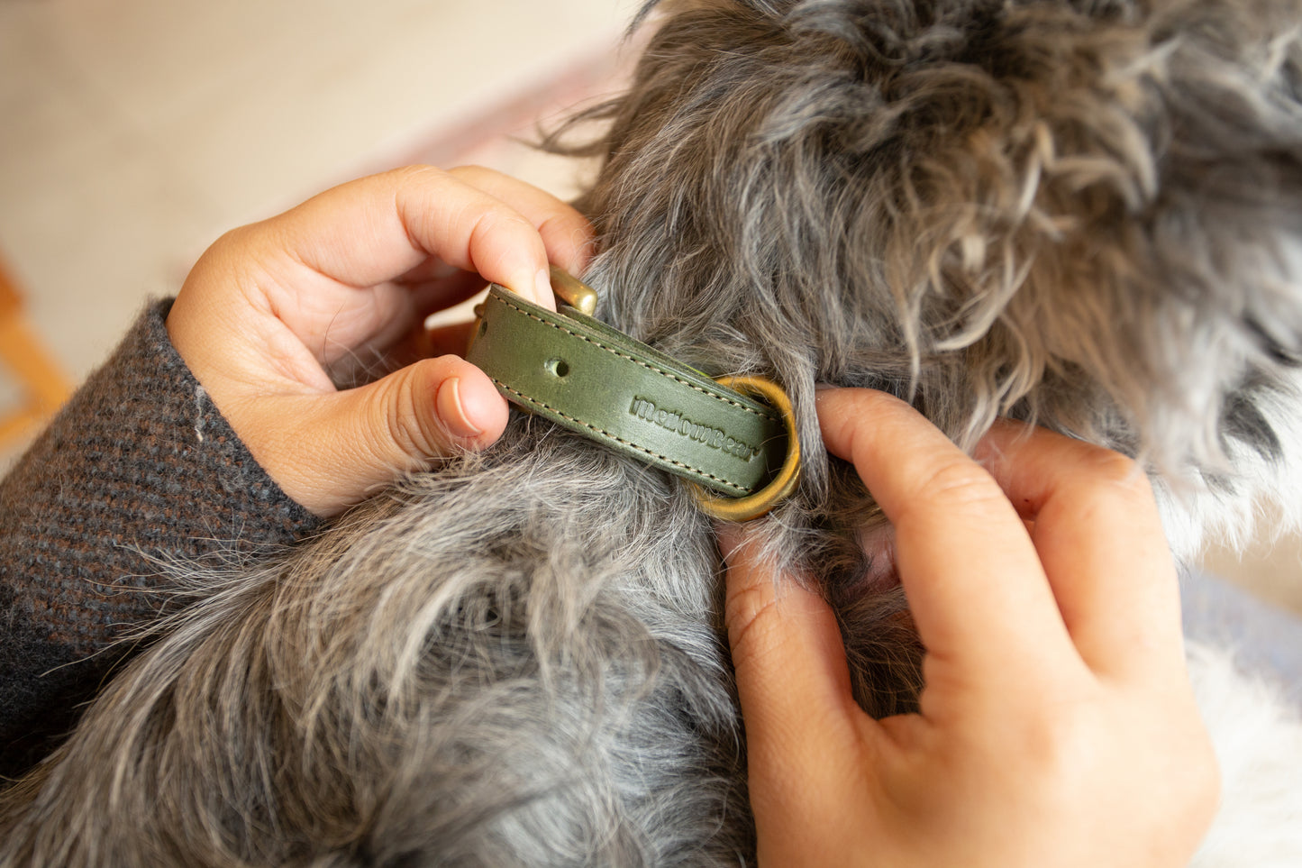 warm hugs collections / リードと首輪